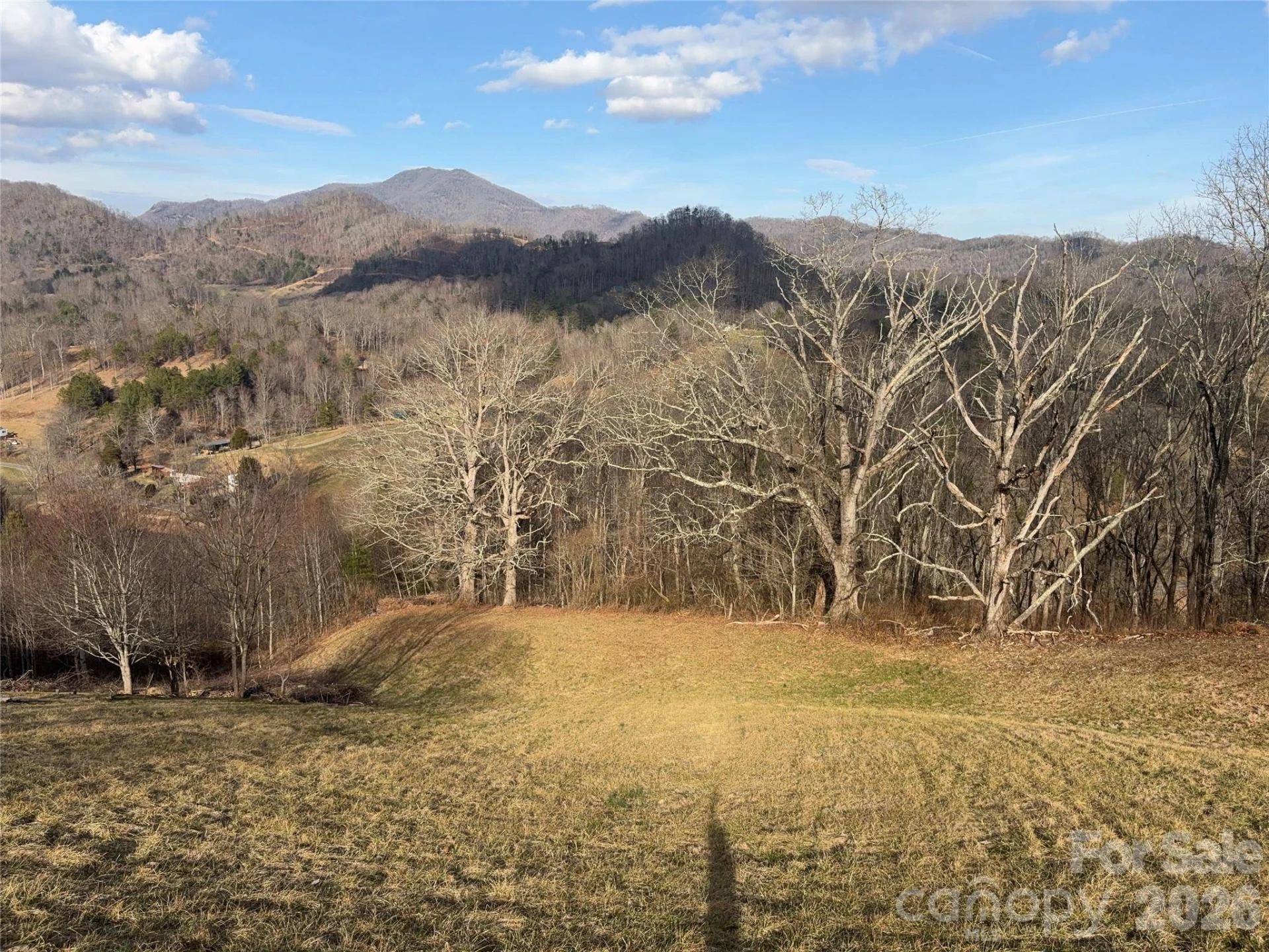 00 Everview Lane #11 - Photo 11
