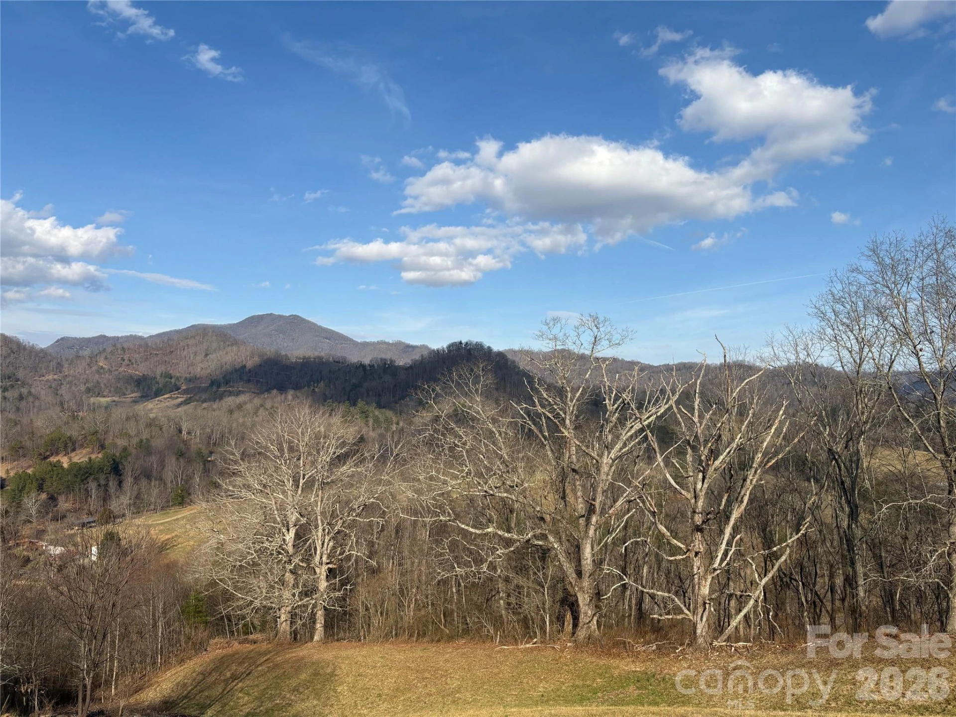 00 Everview Lane #11 - Photo 13