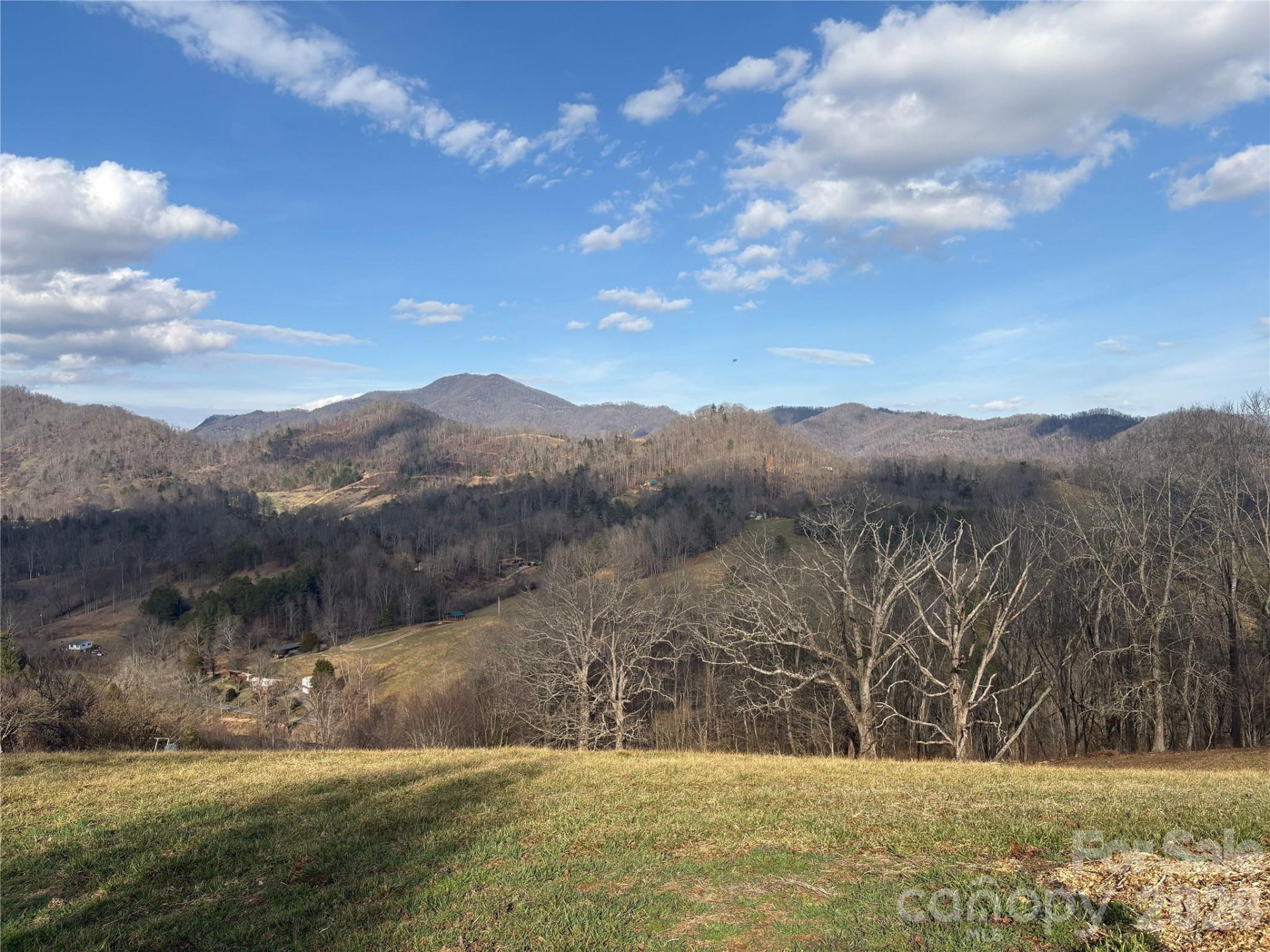 00 Everview Lane #11 - Photo 3