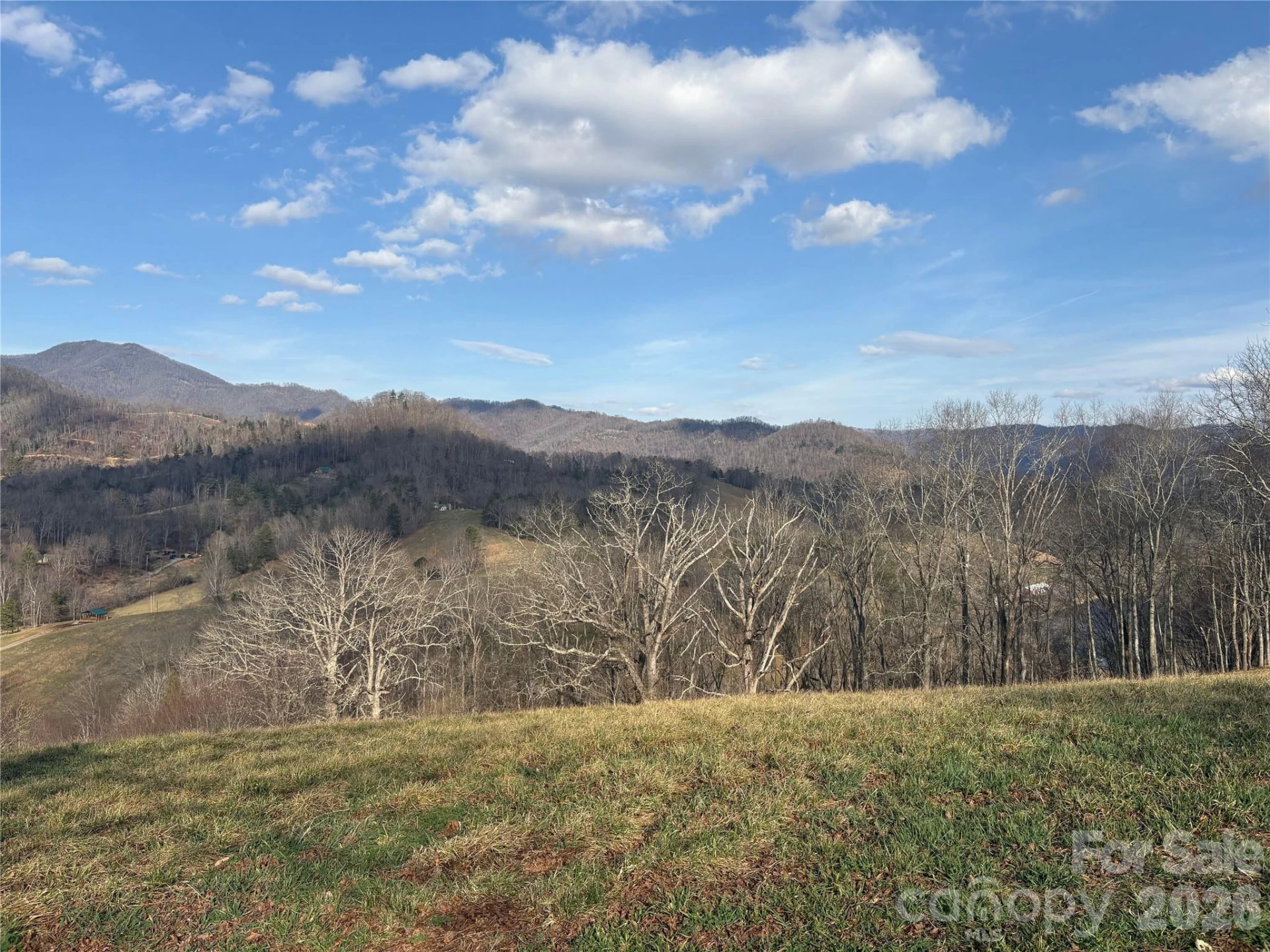 00 Everview Lane #11 - Photo 4