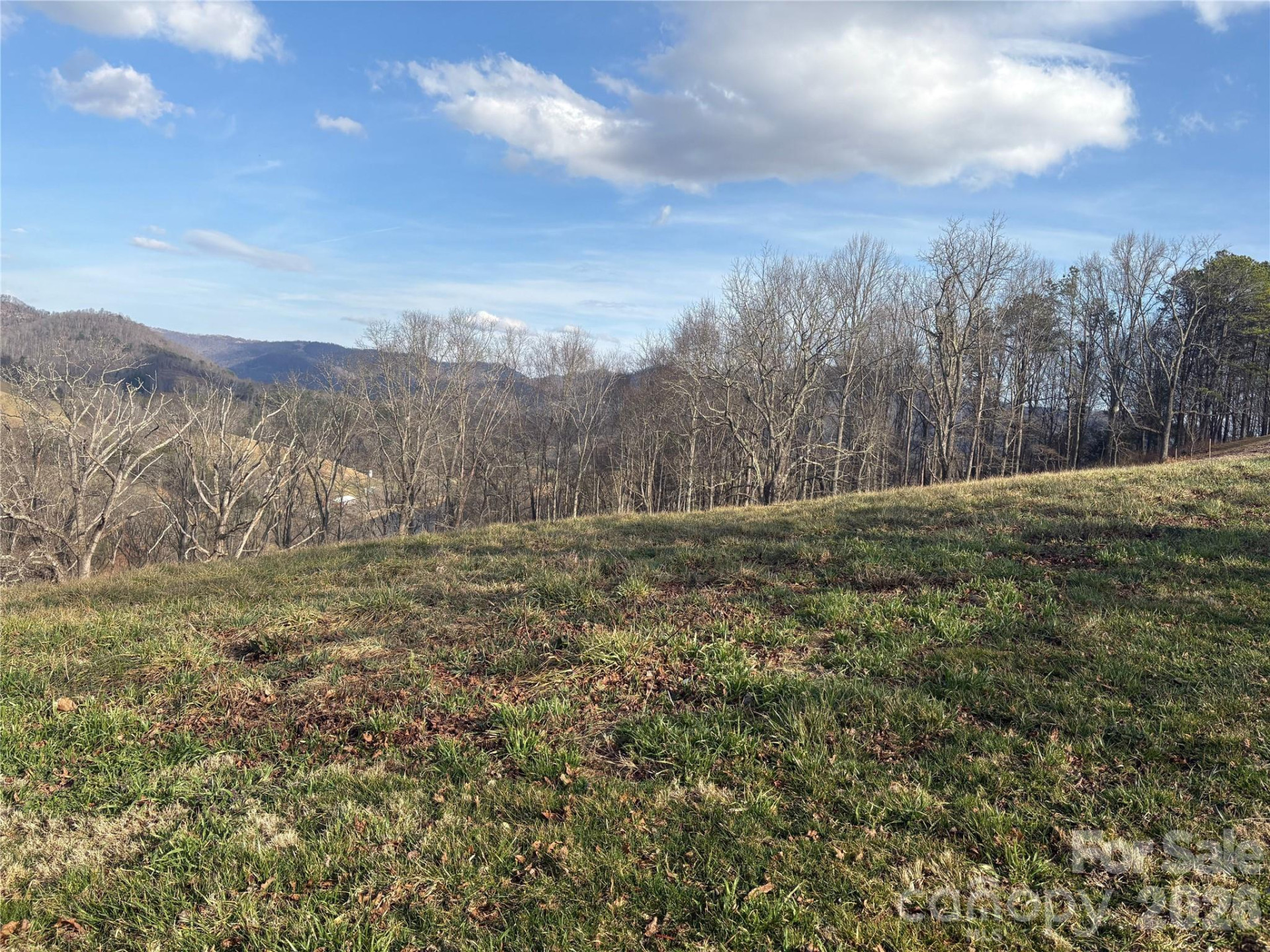 00 Everview Lane #11 - Photo 5