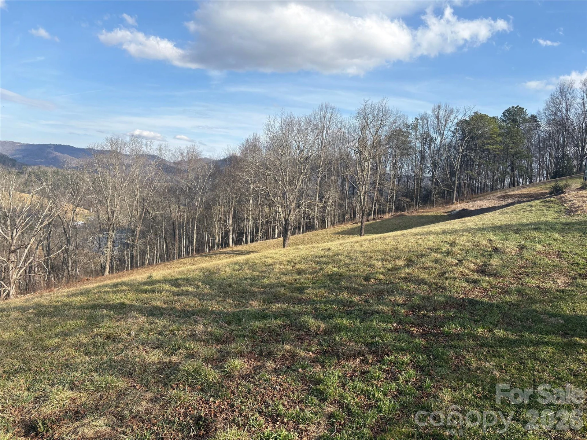 00 Everview Lane #11 - Photo 6