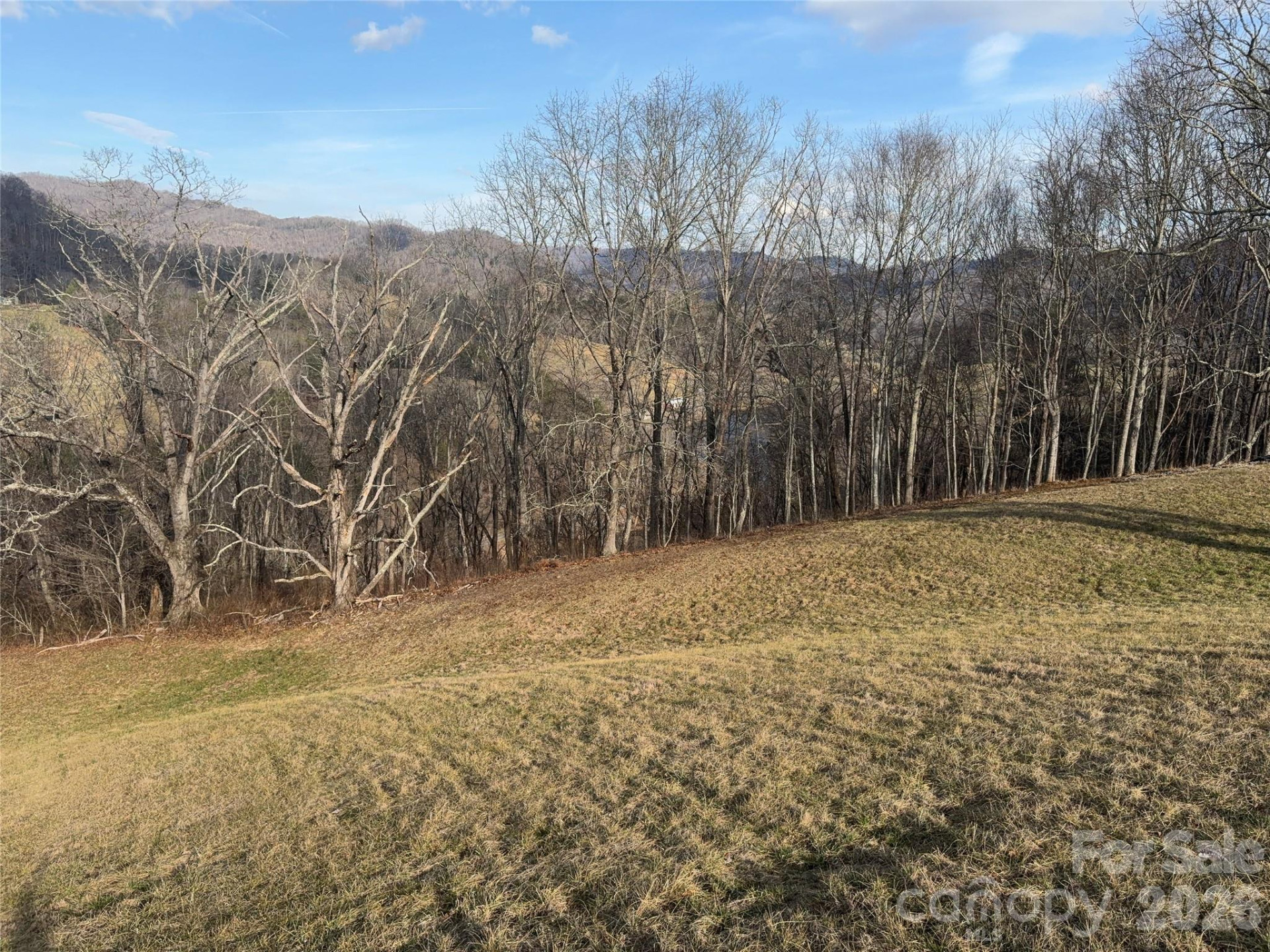 00 Everview Lane #11 - Photo 9