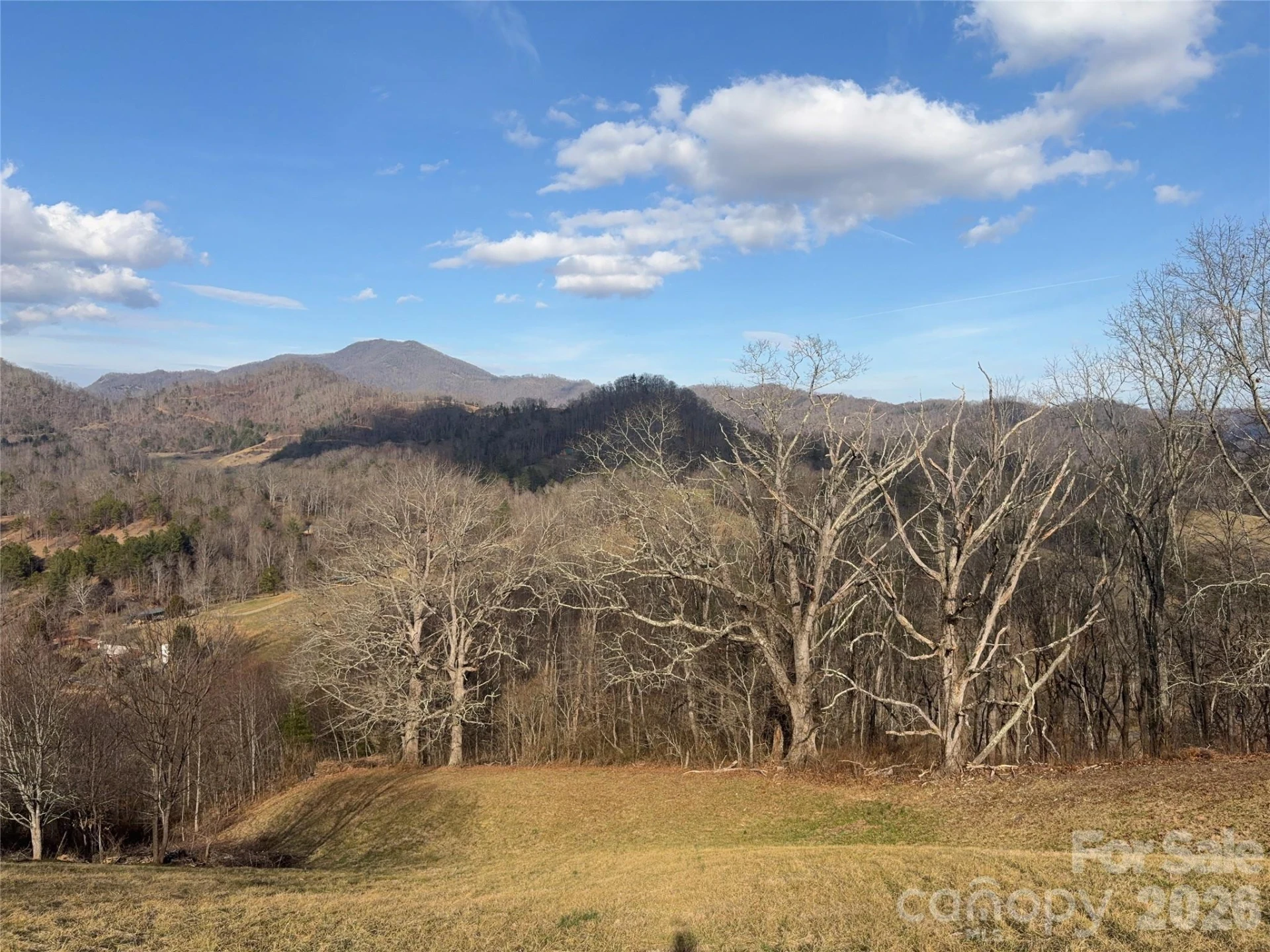00 Everview Lane #11 - Photo 10