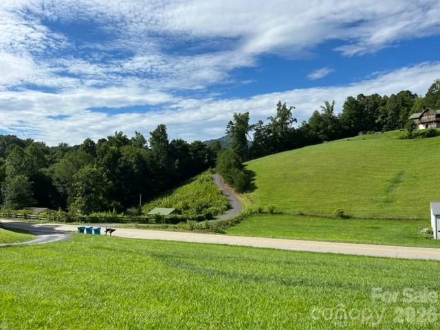 167 Goughes Branch Road - Photo 24