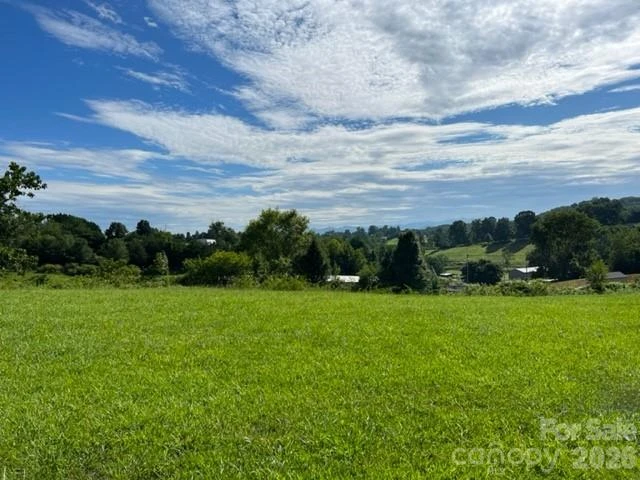 167 Goughes Branch Road - Photo 25