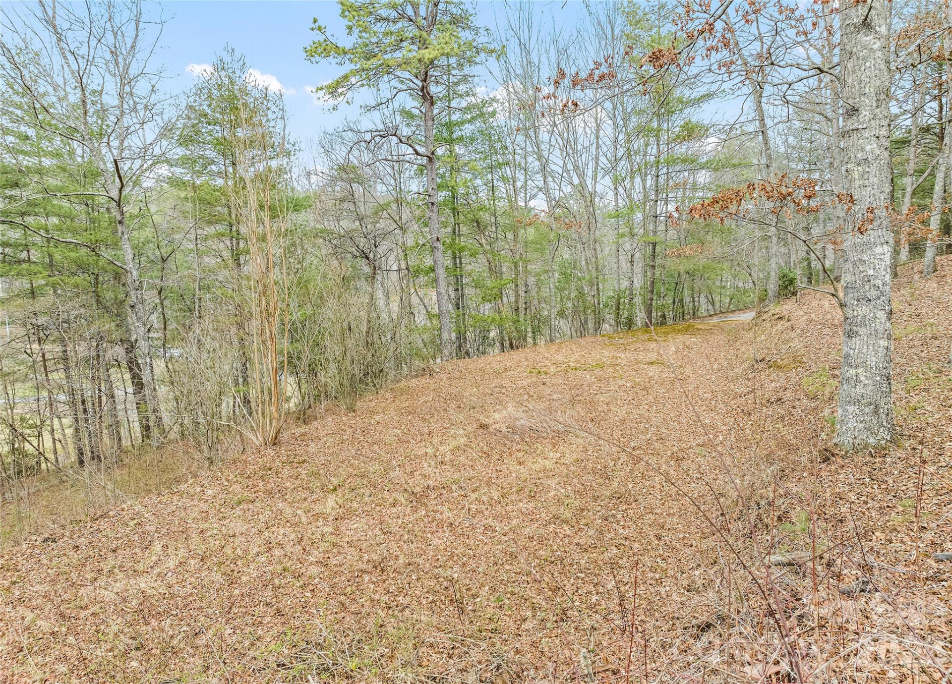 171 Fortner Road - Photo 29