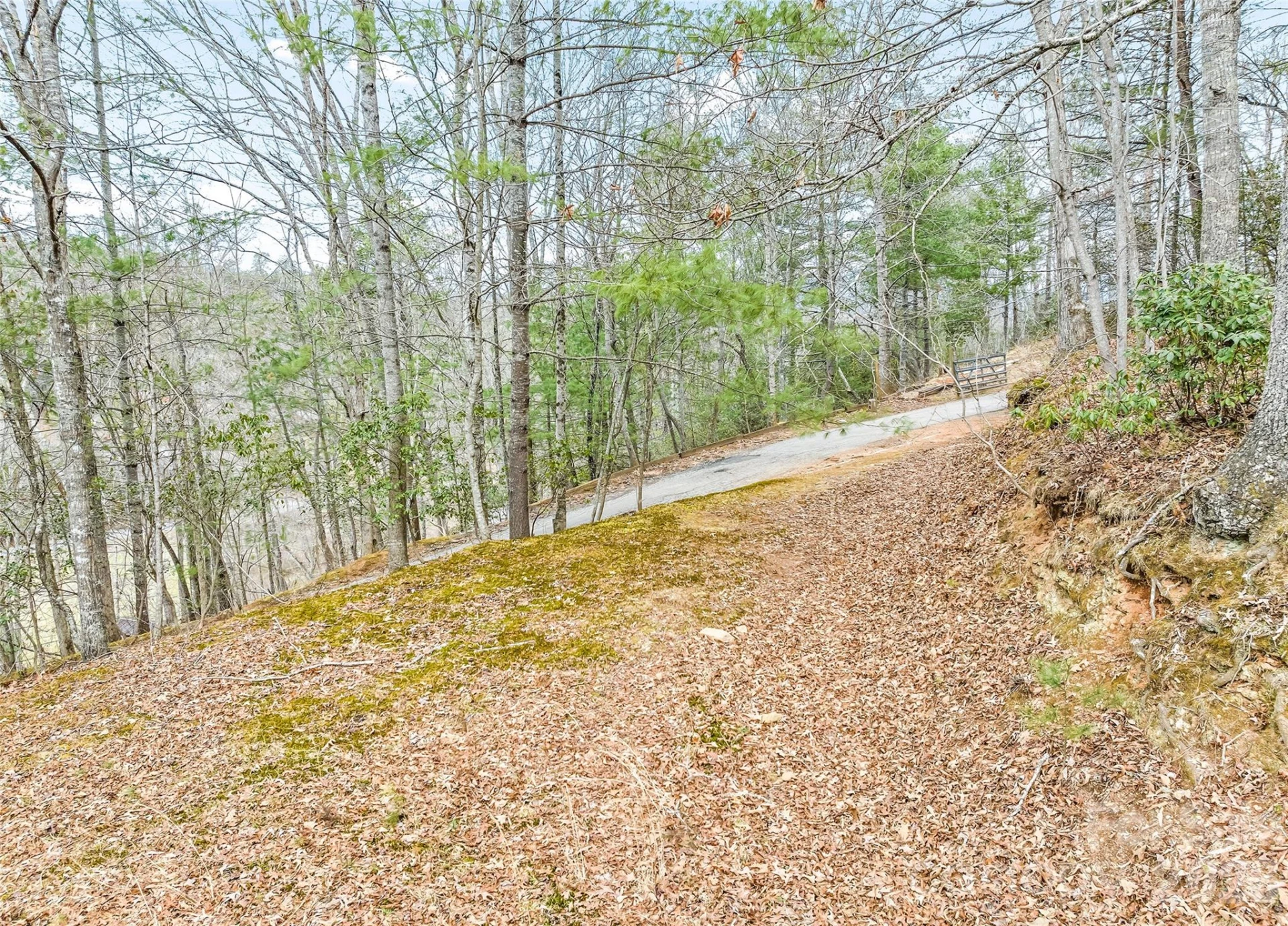 171 Fortner Road - Photo 31