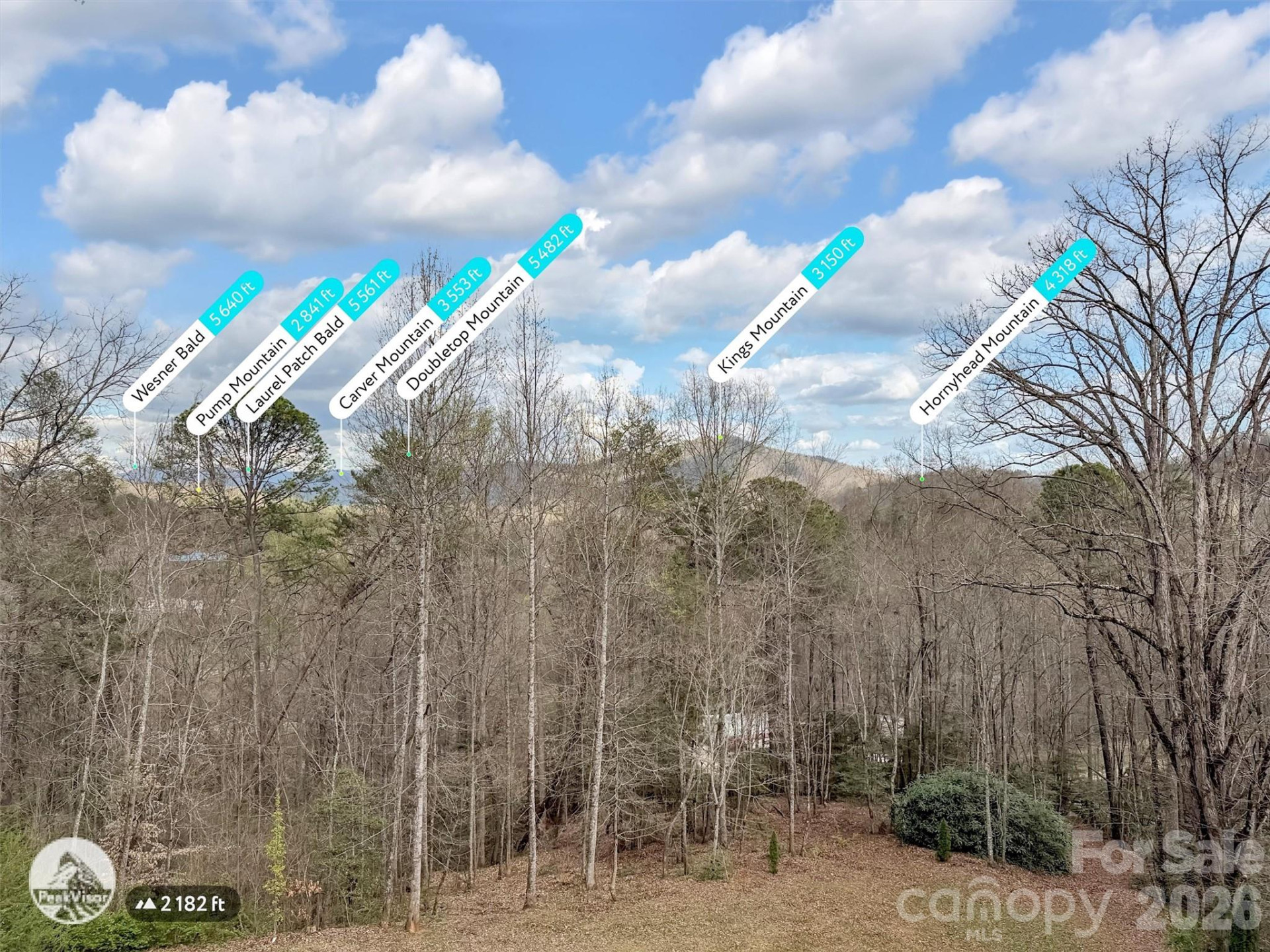 115 Fugitive Run - Photo 43