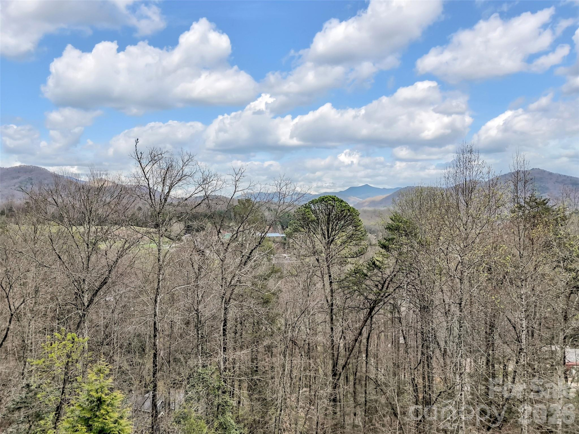 115 Fugitive Run - Photo 47