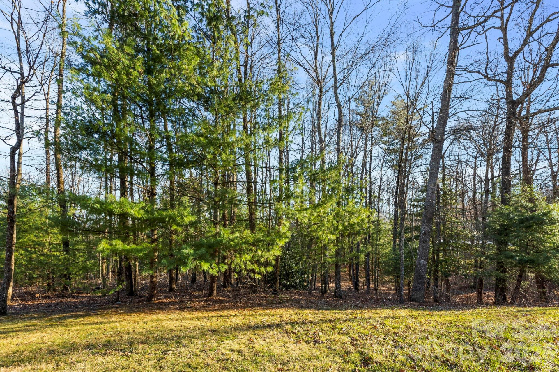 Lot 125 Thunder Mountain Road - Photo 2