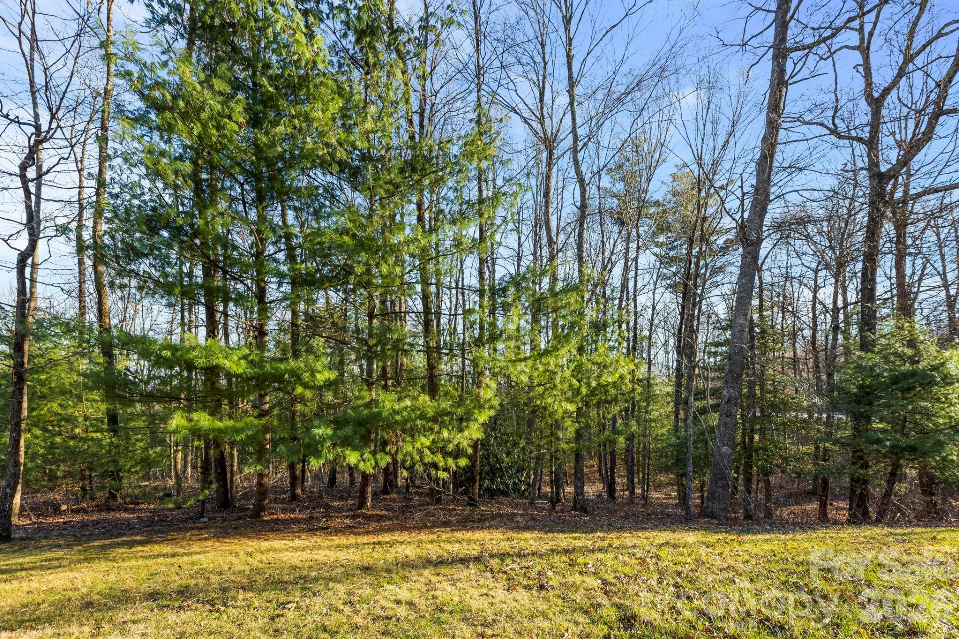 Lot 125 Thunder Mountain Road - Photo 2