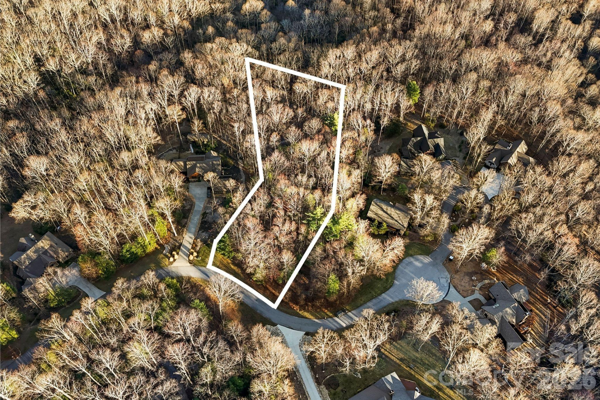 Lot 125 Thunder Mountain Road - Photo 11