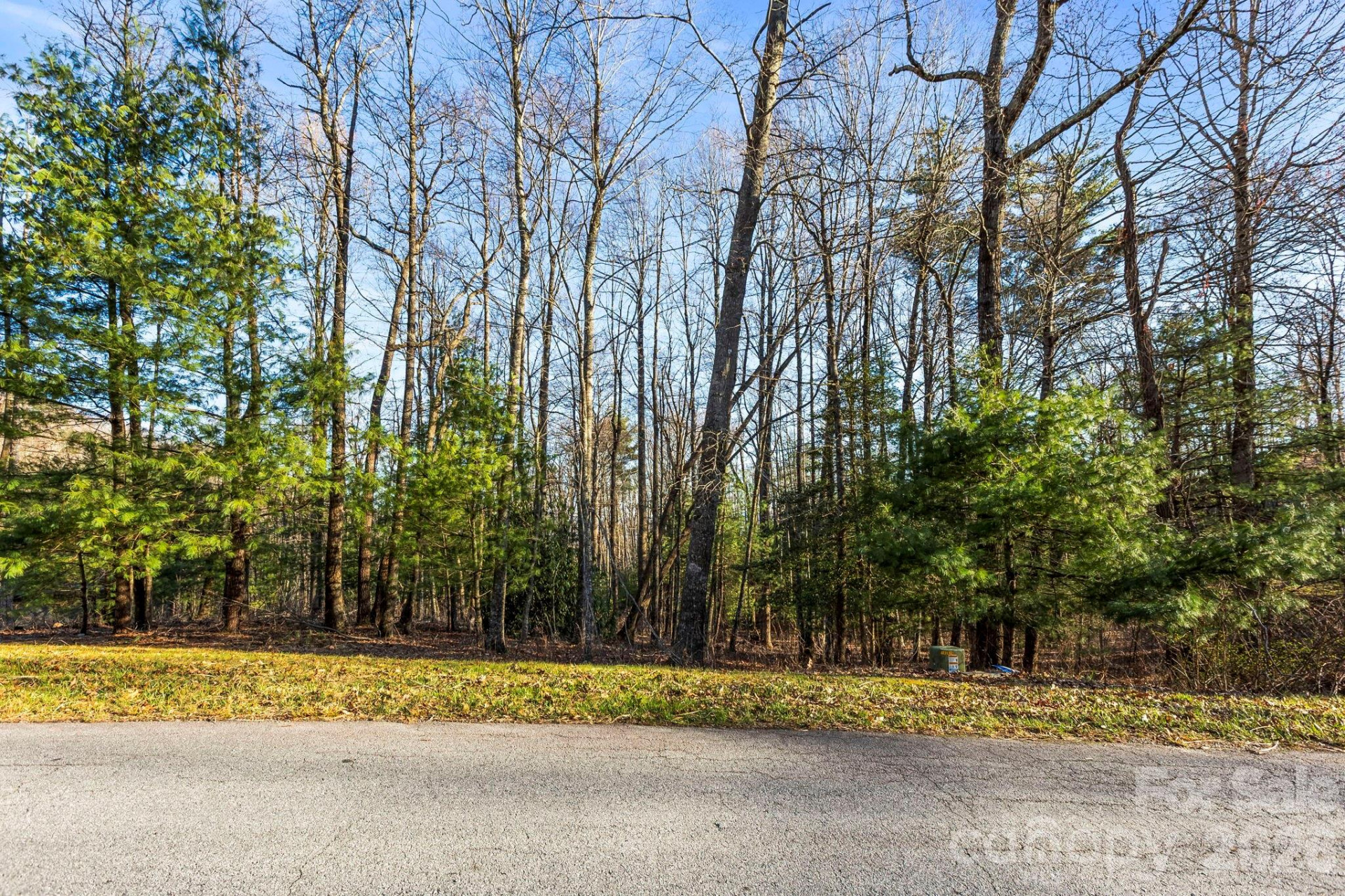 Lot 125 Thunder Mountain Road - Photo 3