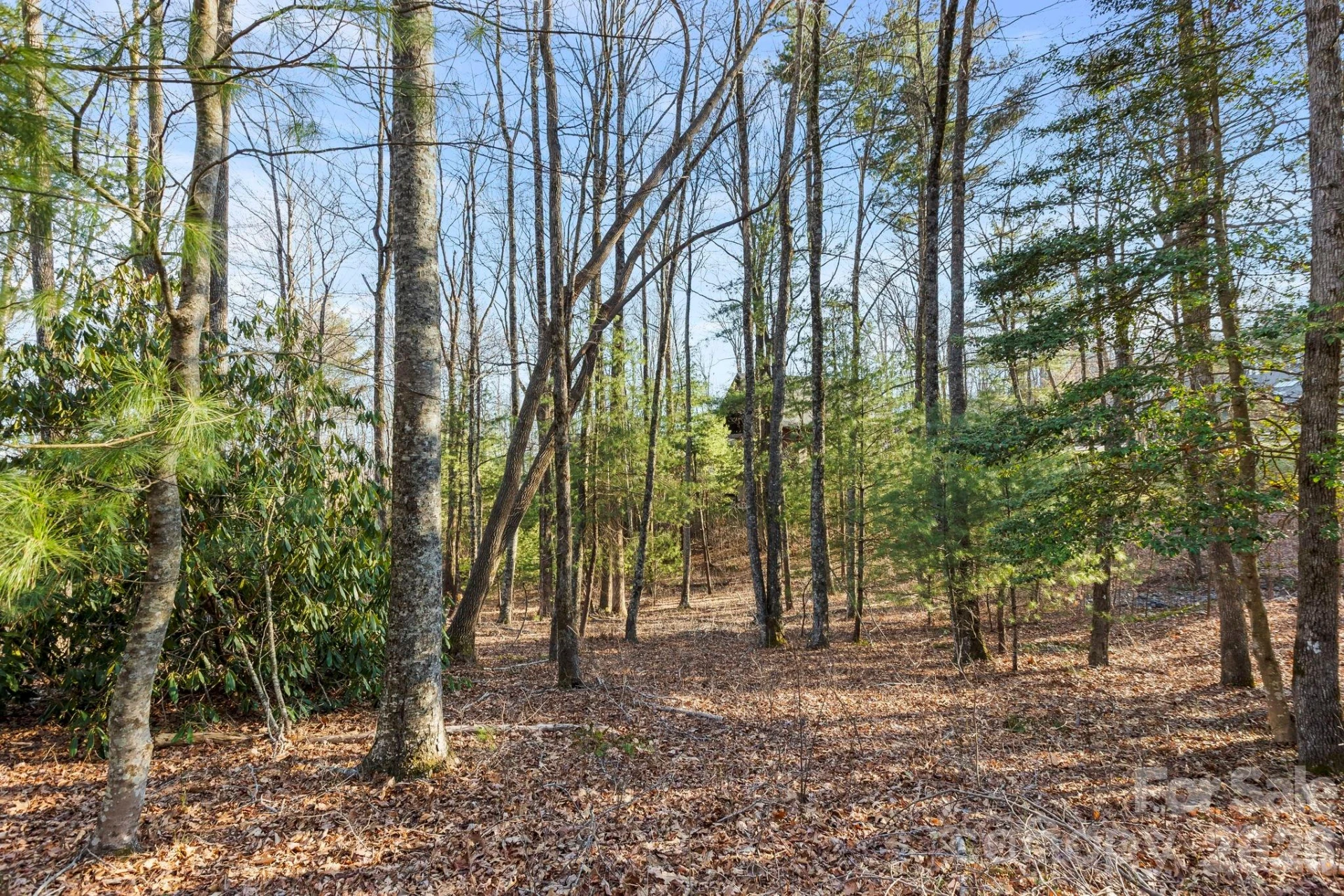 Lot 125 Thunder Mountain Road - Photo 4