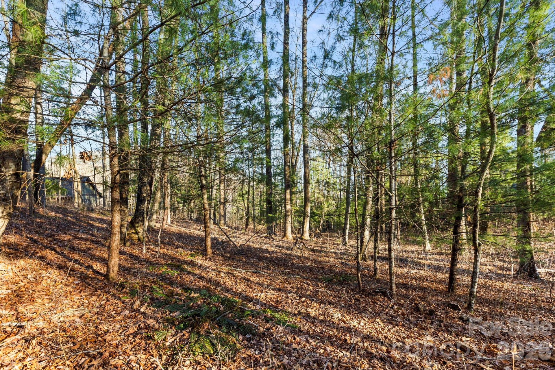 Lot 125 Thunder Mountain Road - Photo 5