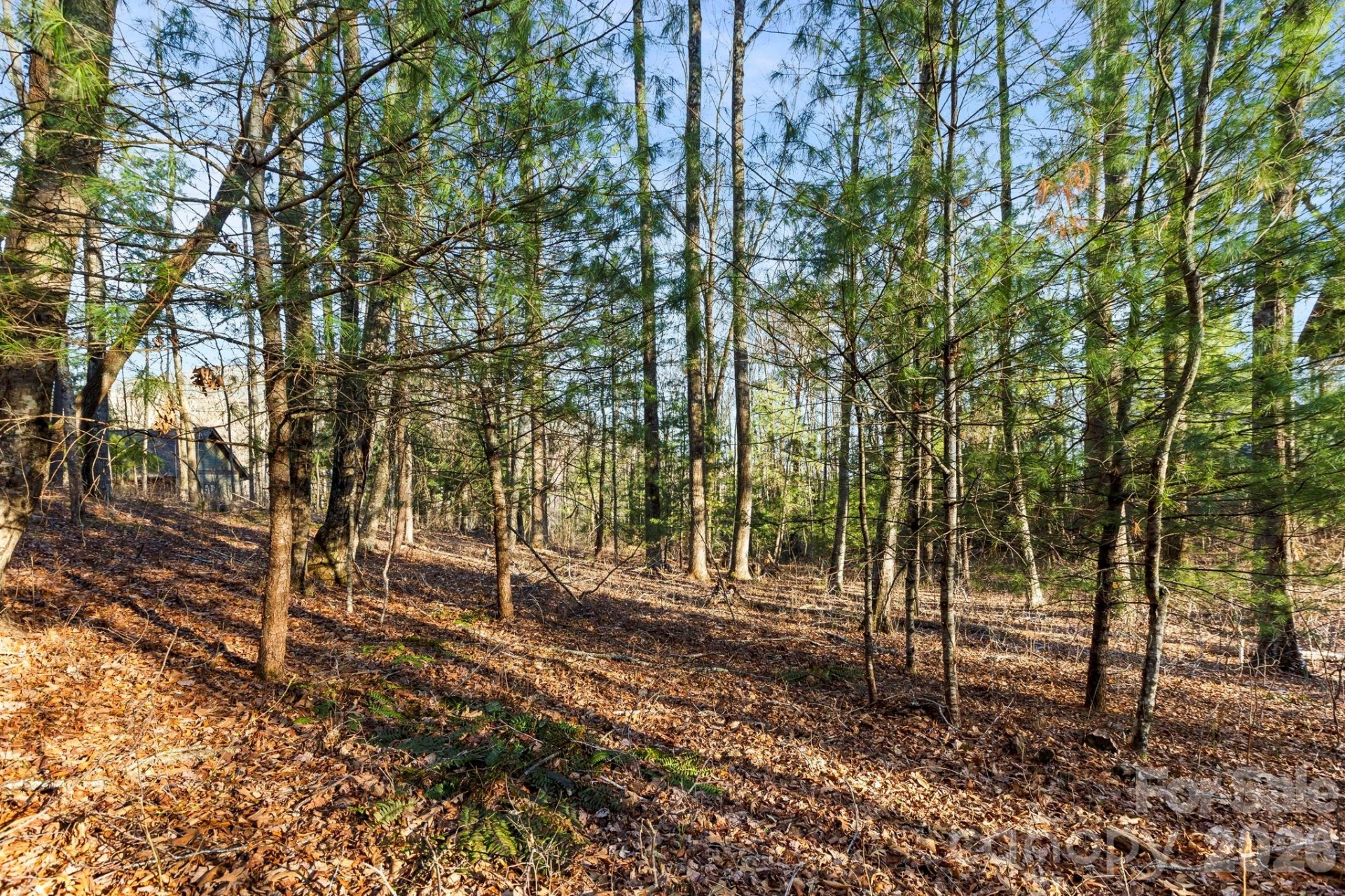 Lot 125 Thunder Mountain Road - Photo 5
