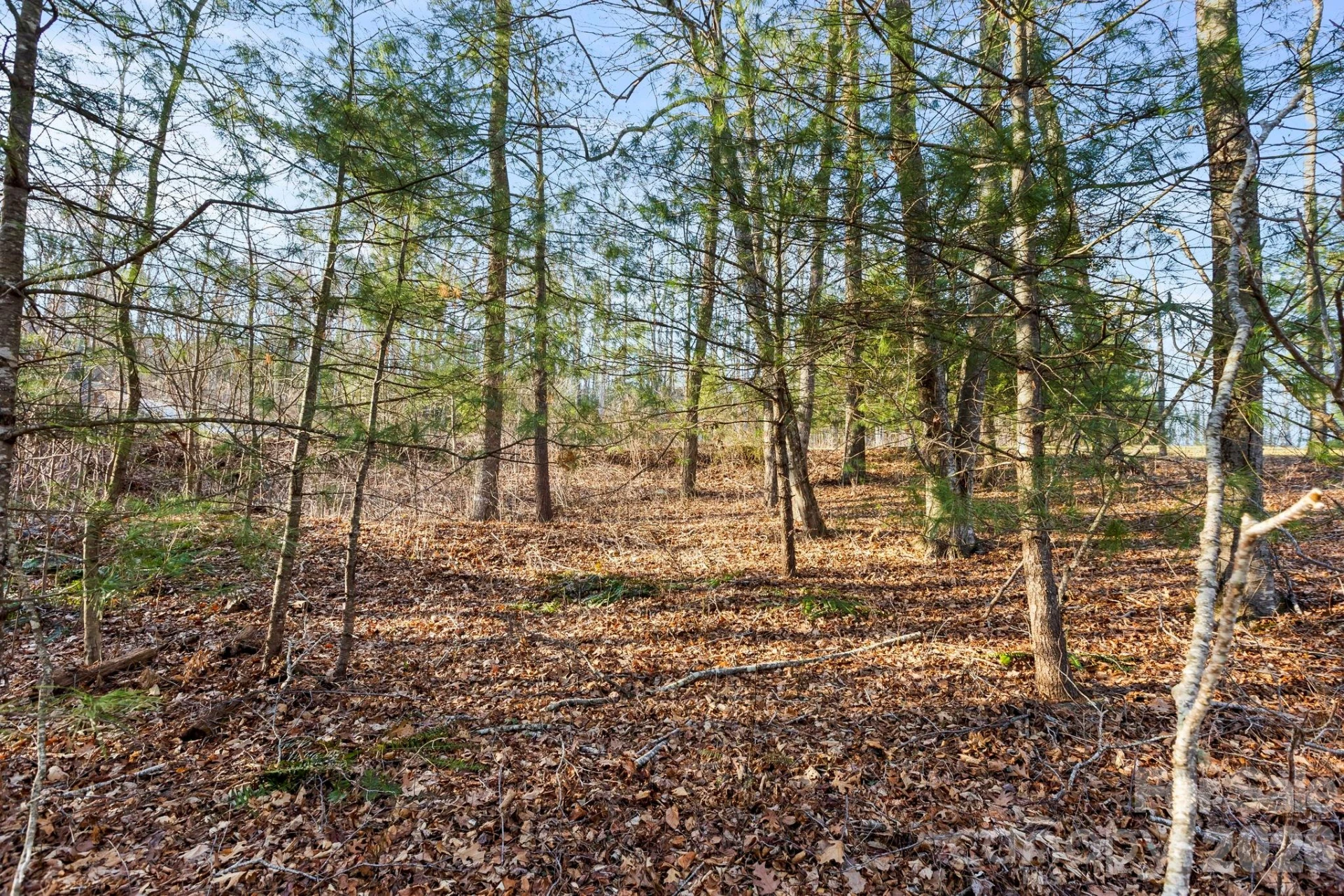 Lot 125 Thunder Mountain Road - Photo 6