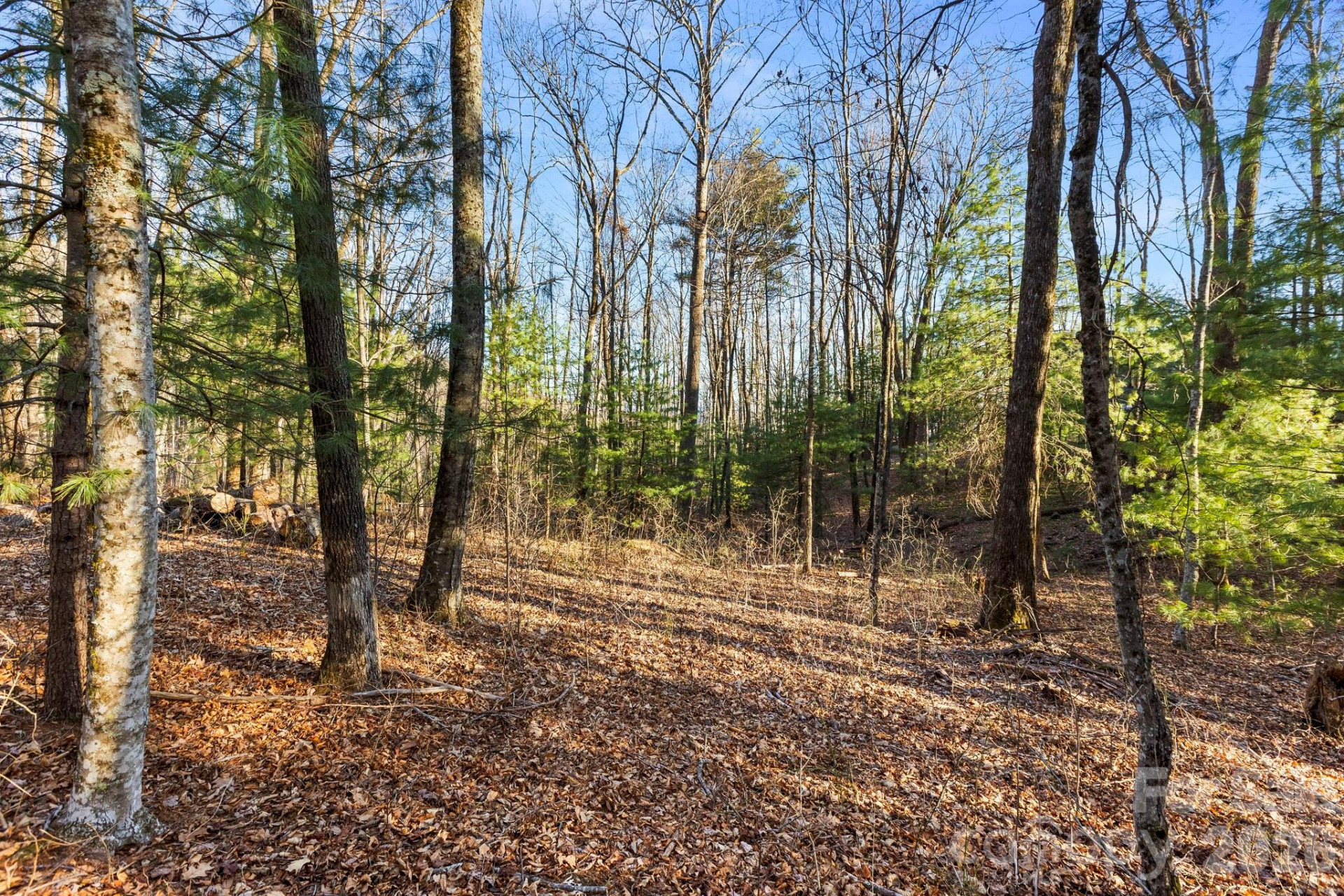 Lot 125 Thunder Mountain Road - Photo 7