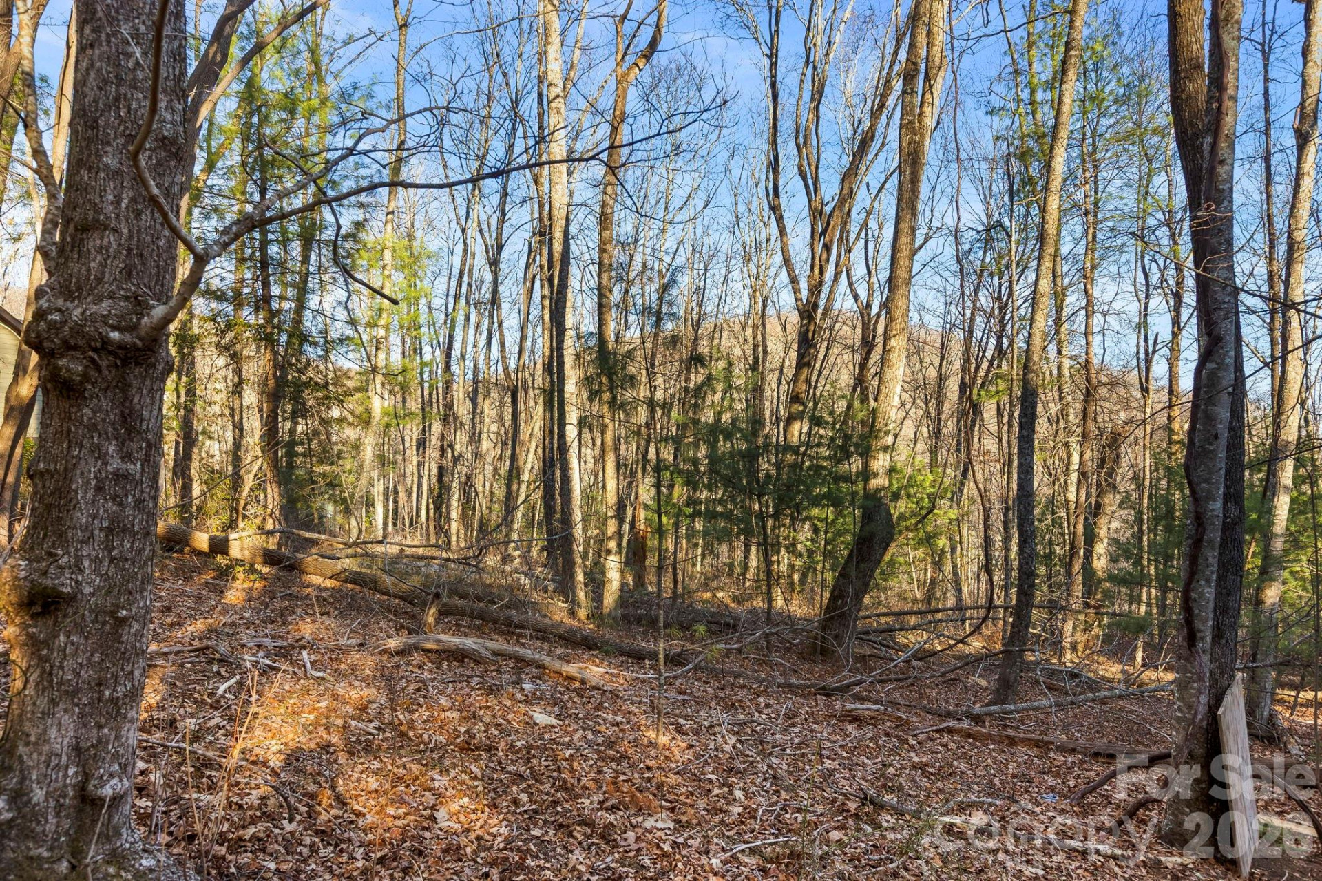 Lot 125 Thunder Mountain Road - Photo 8