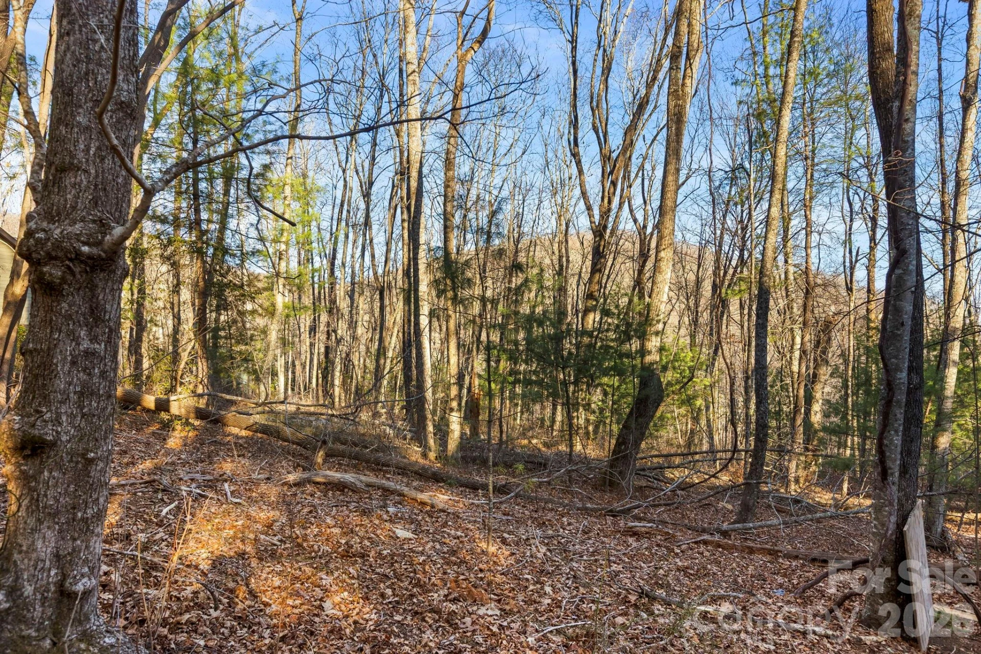 Lot 125 Thunder Mountain Road - Photo 8