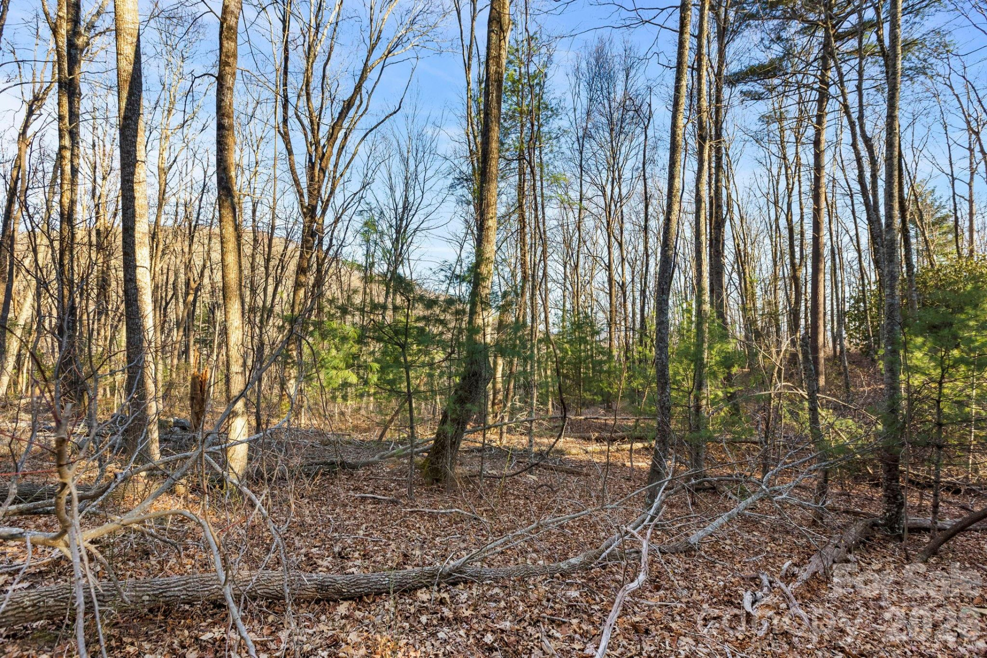 Lot 125 Thunder Mountain Road - Photo 9