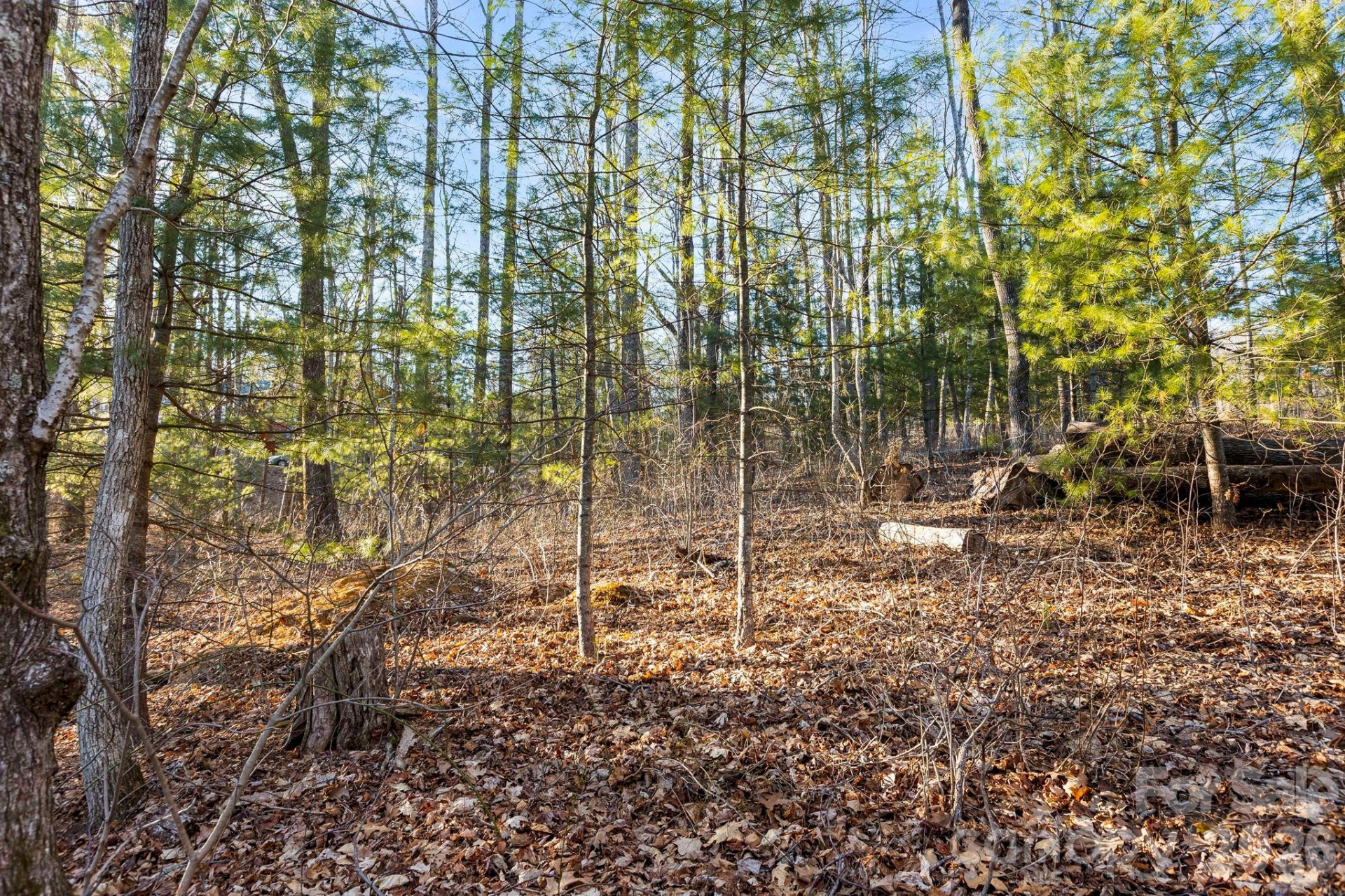 Lot 125 Thunder Mountain Road - Photo 10