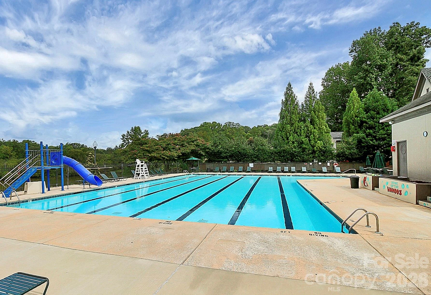 173 Coronilla Road - Photo 35