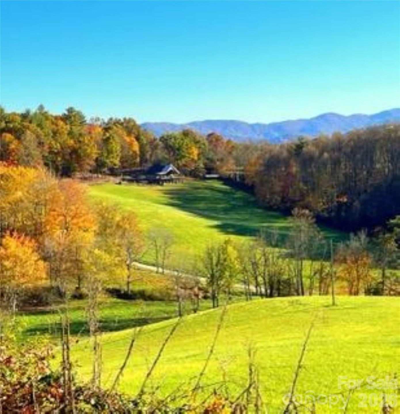 461 Ferguson Cove Loop - Photo 2