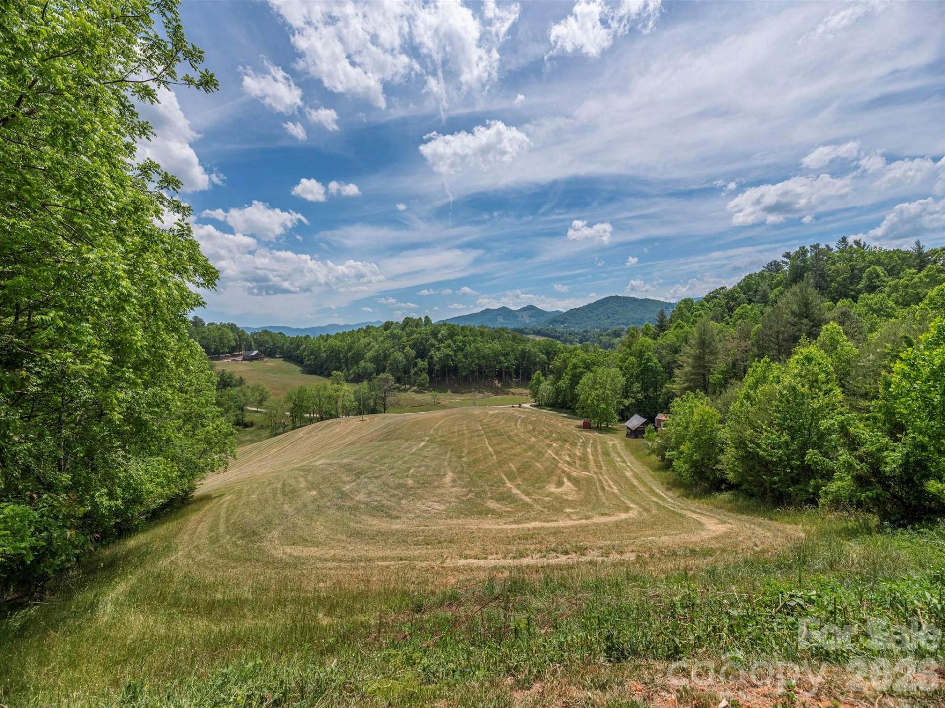 461 Ferguson Cove Loop - Photo 4