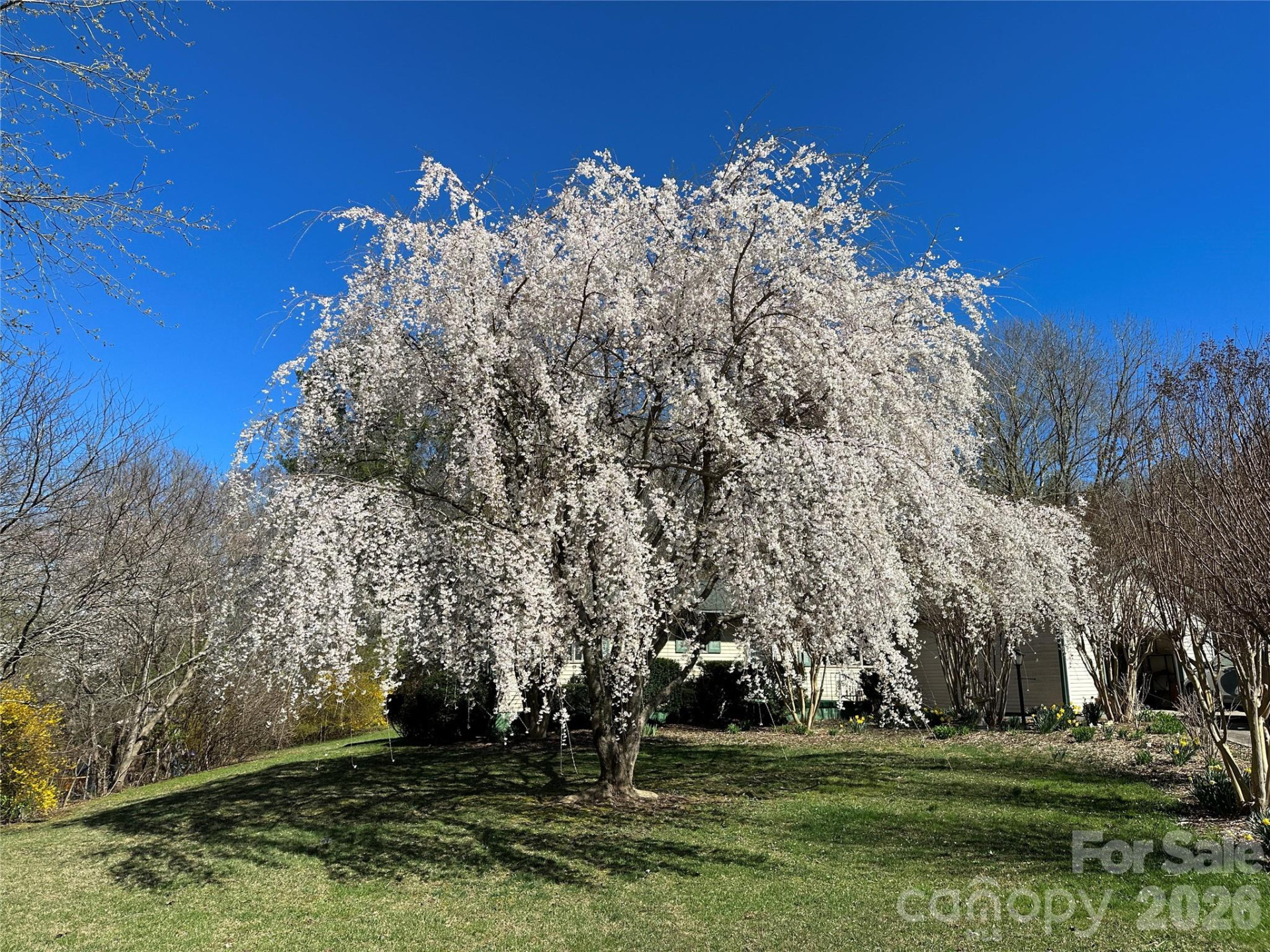 22 Stoney Nob Drive - Photo 40