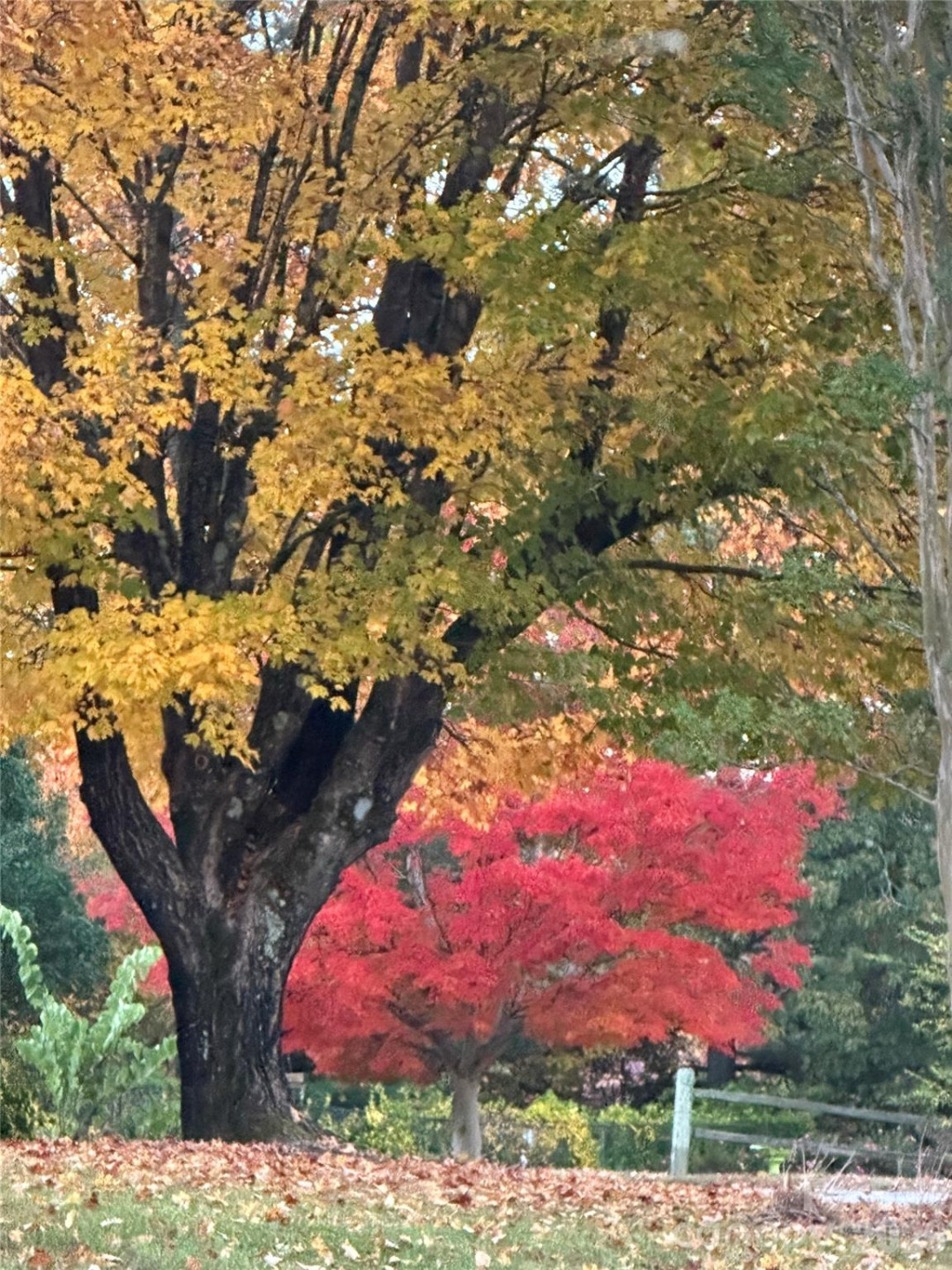 22 Stoney Nob Drive - Photo 41