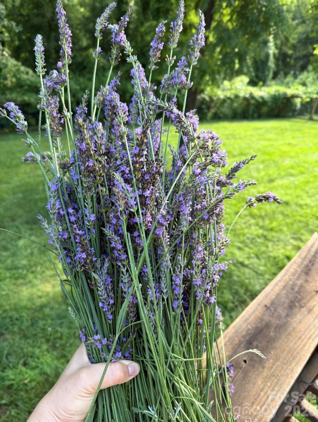 65 Owenby Road - Photo 15