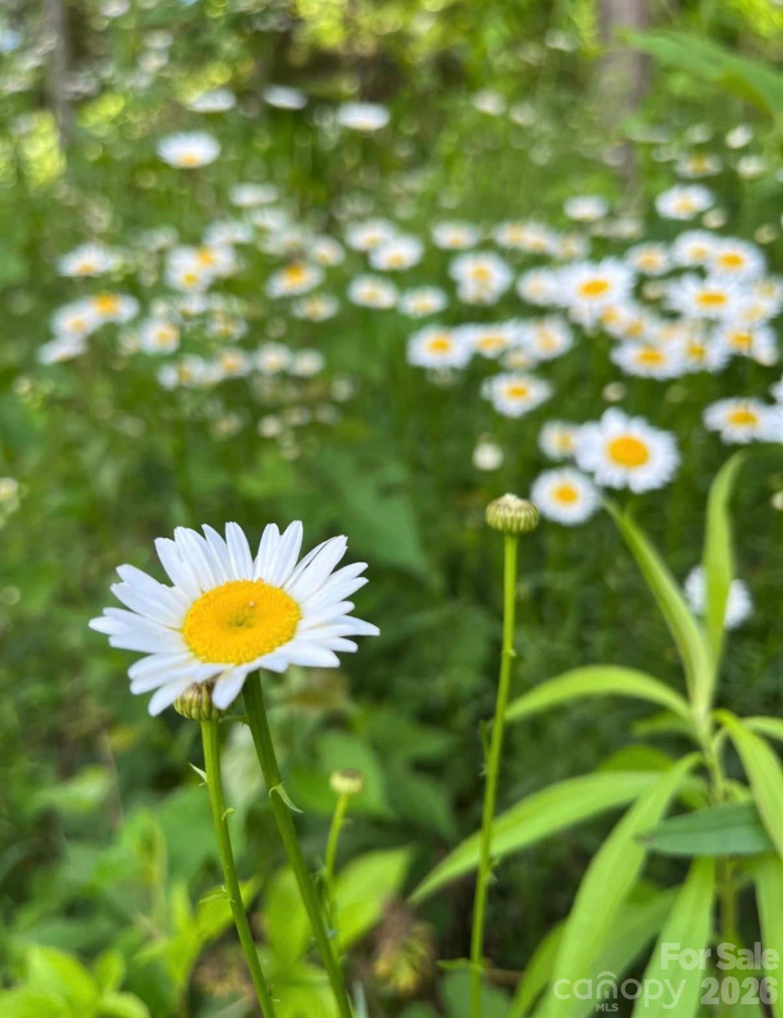 65 Owenby Road - Photo 16