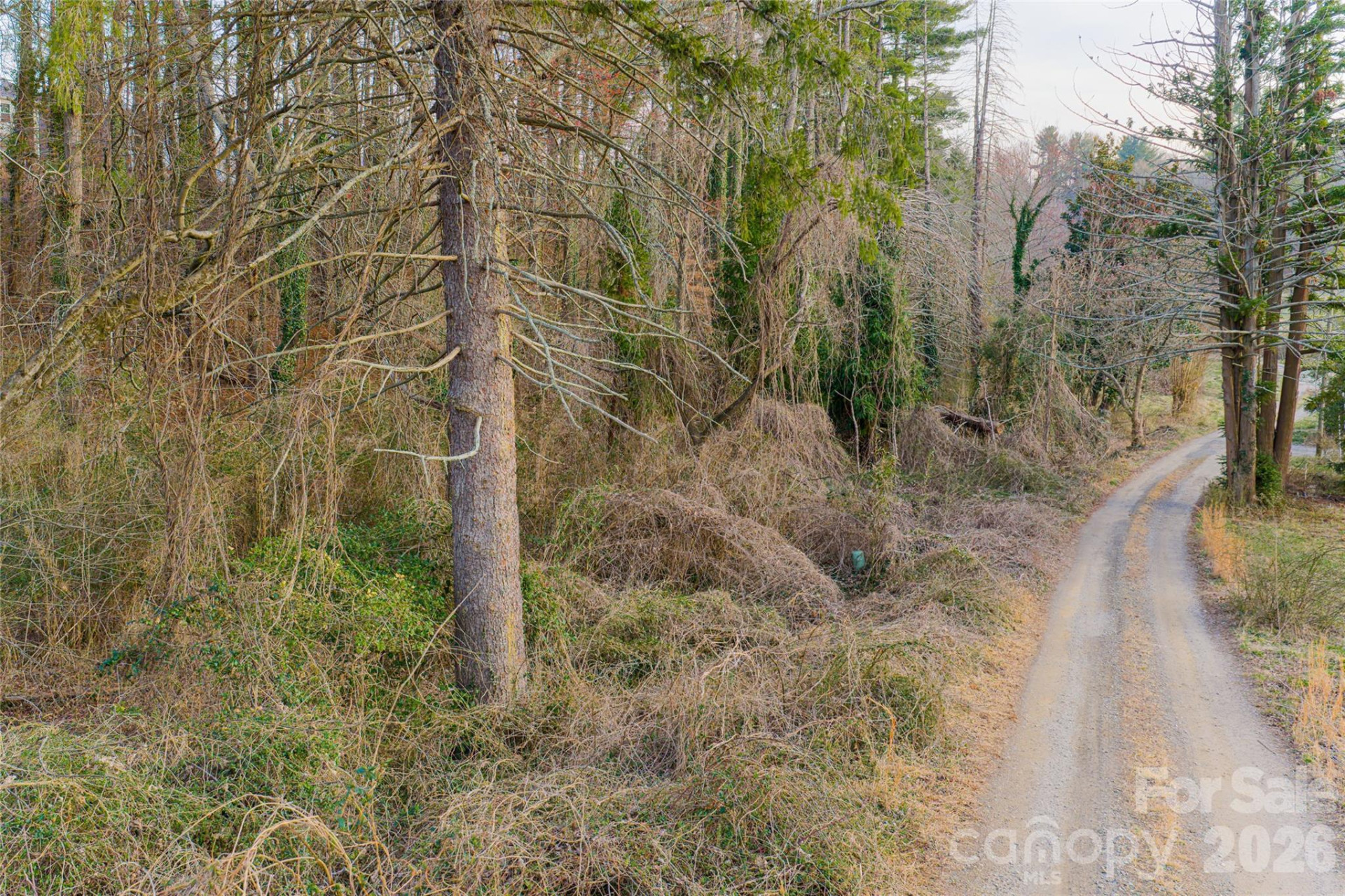 65 Owenby Road - Photo 46