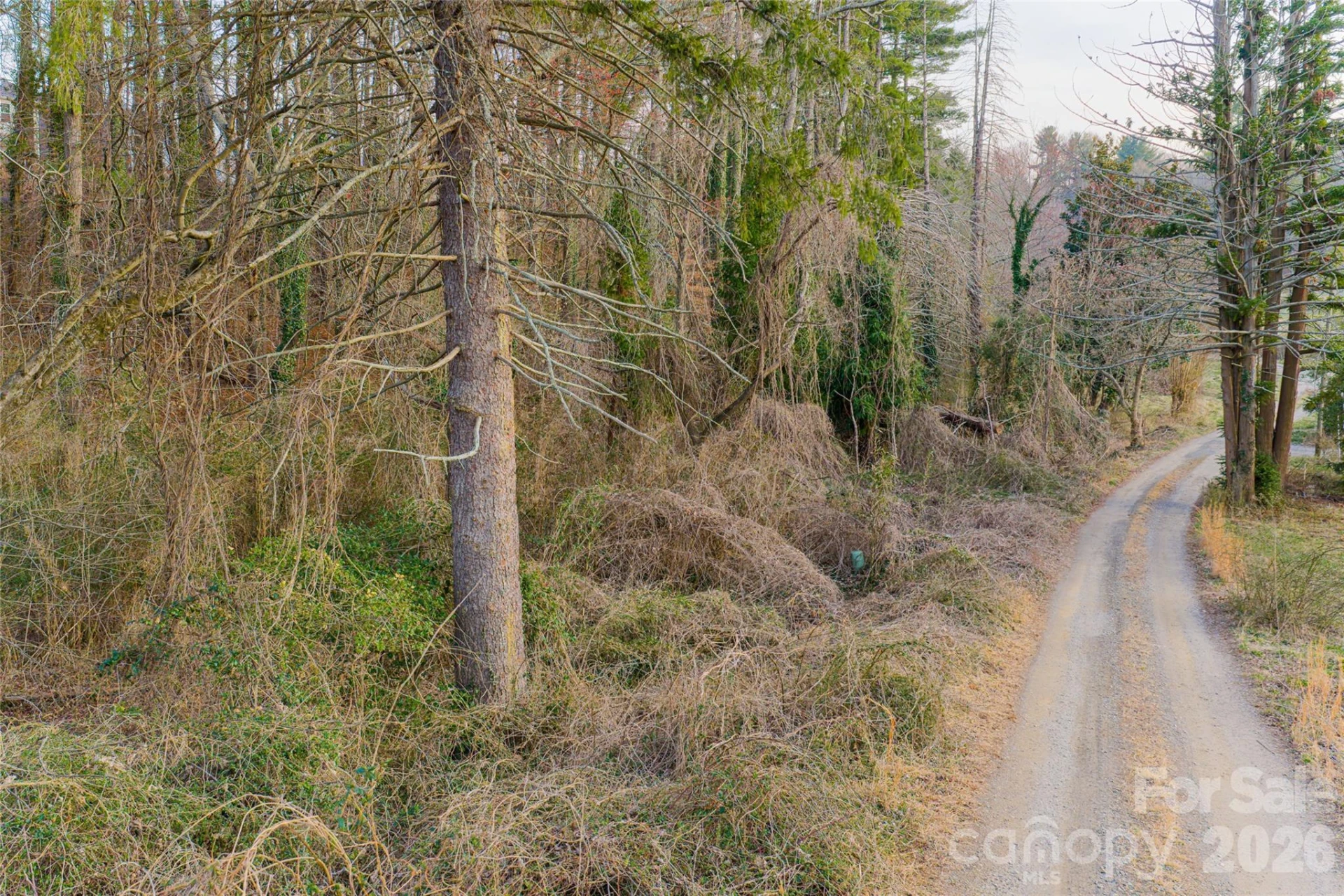 65 Owenby Road - Photo 46