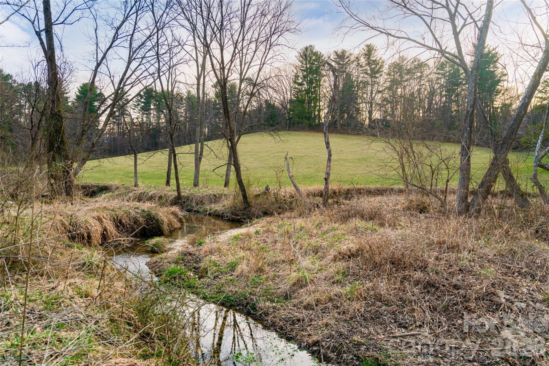 65 Owenby Road - Photo 8