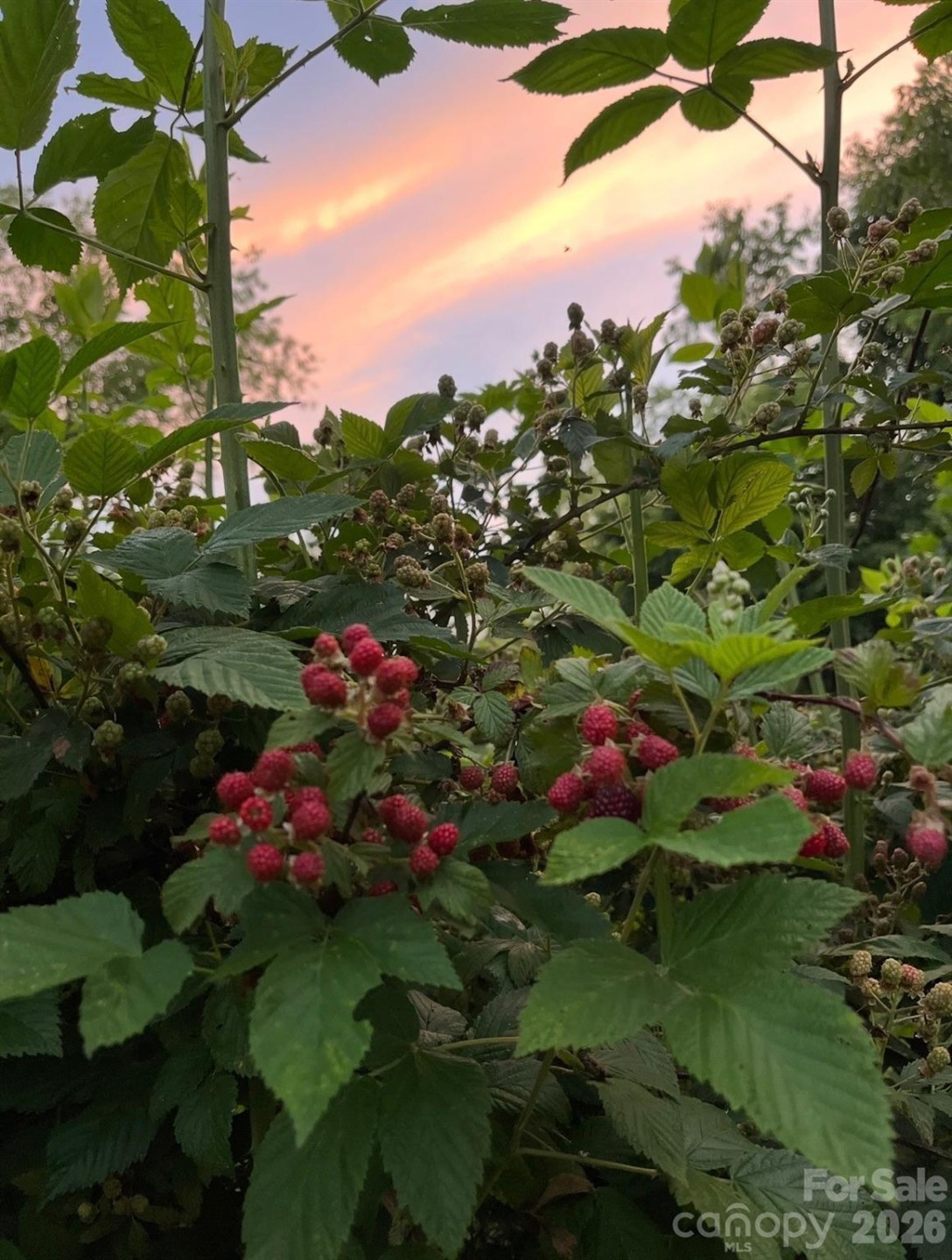 65 Owenby Road - Photo 9