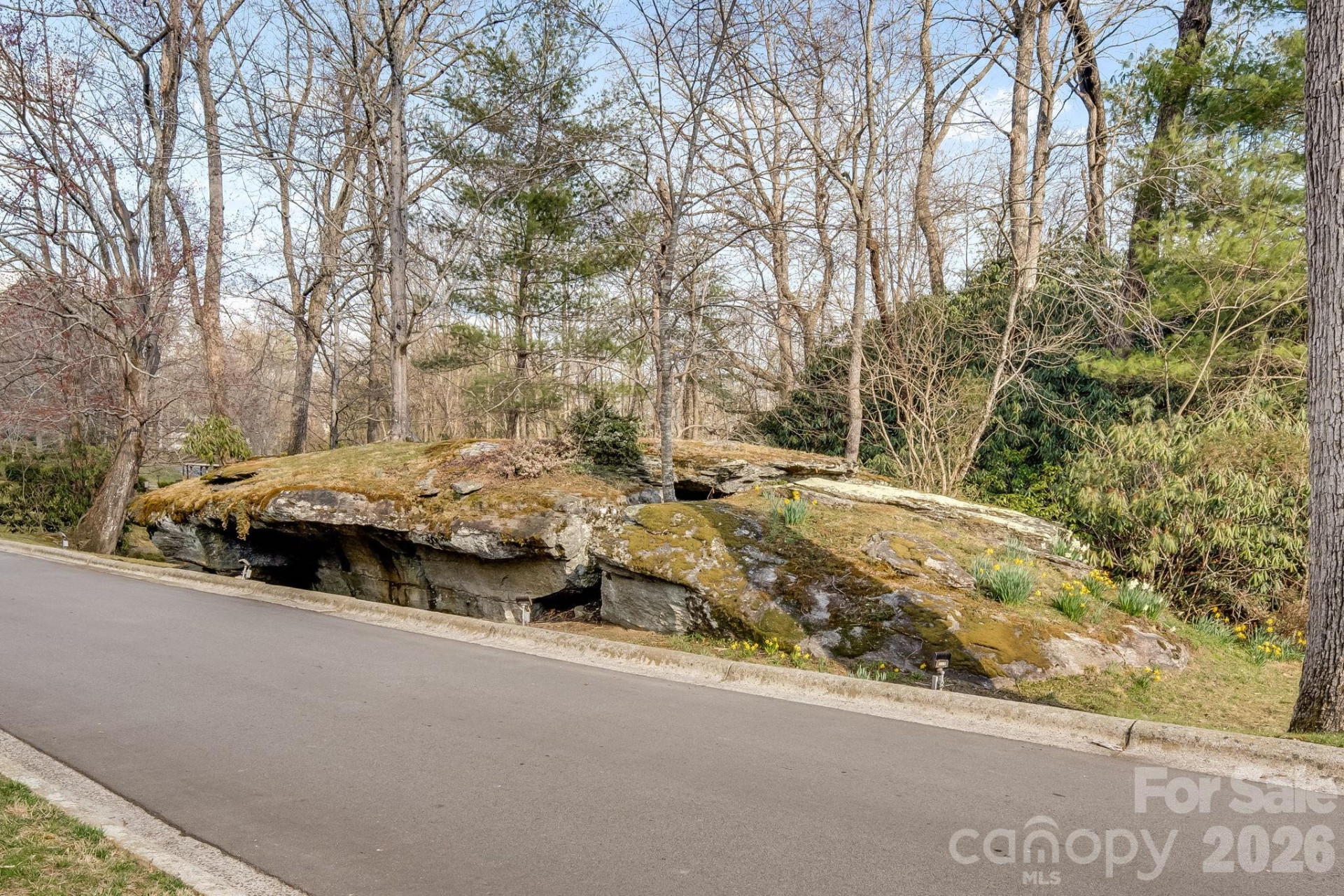 1104 Red Oak Drive - Photo 30