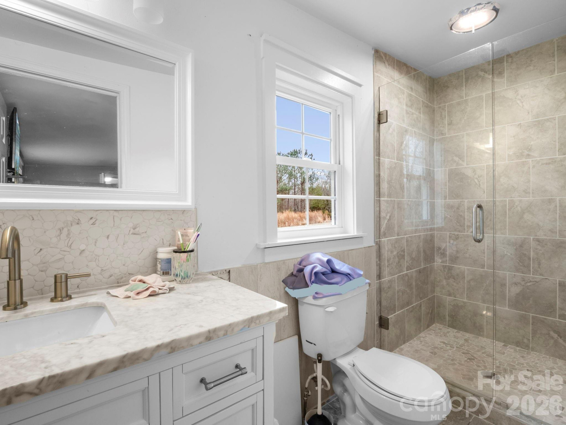 166 Fleece Lane - Photo 13