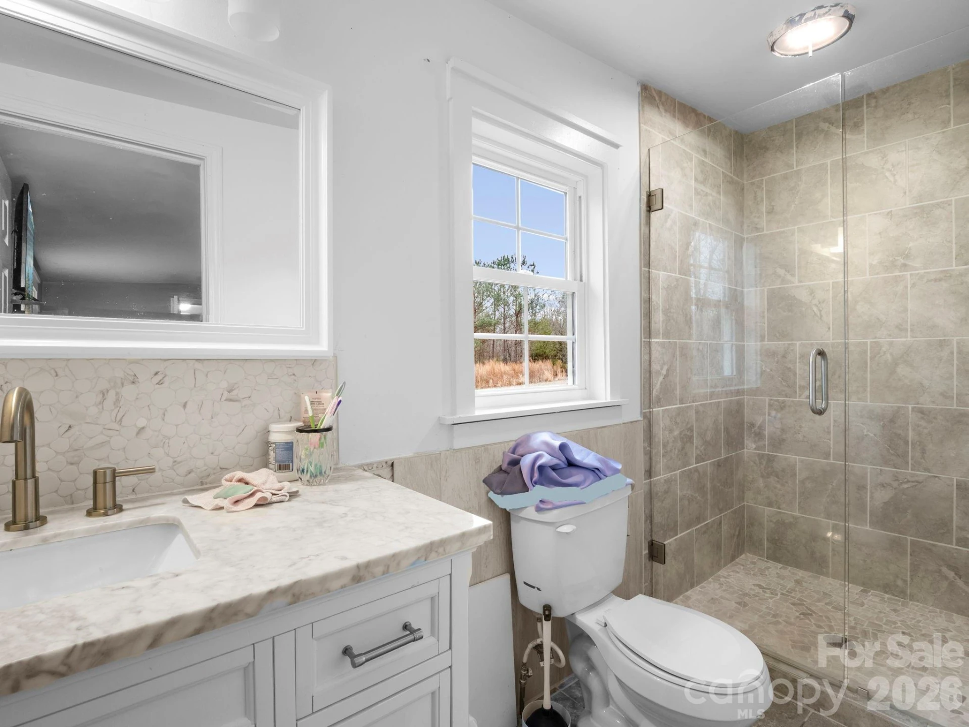 166 Fleece Lane - Photo 13