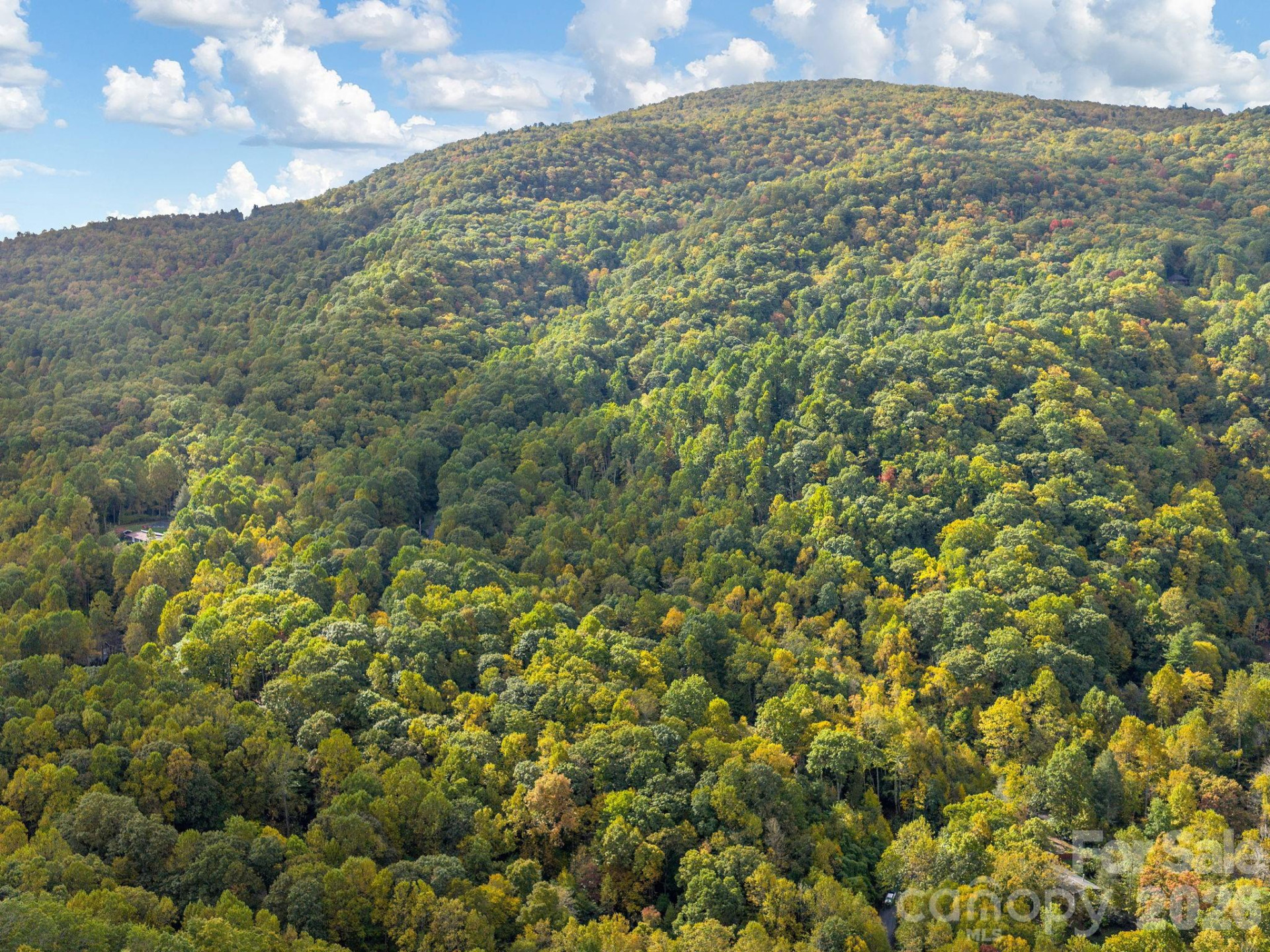 102 Carriage Drive - Photo 30