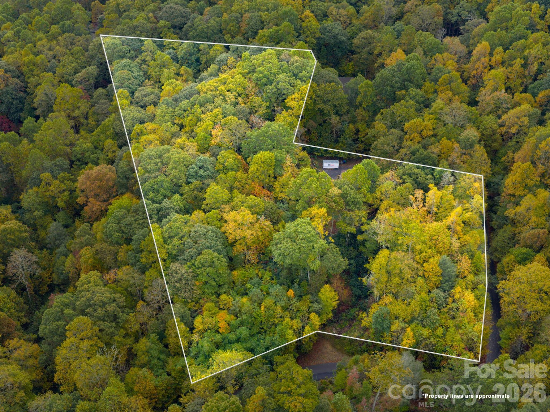 102 Carriage Drive - Photo 4