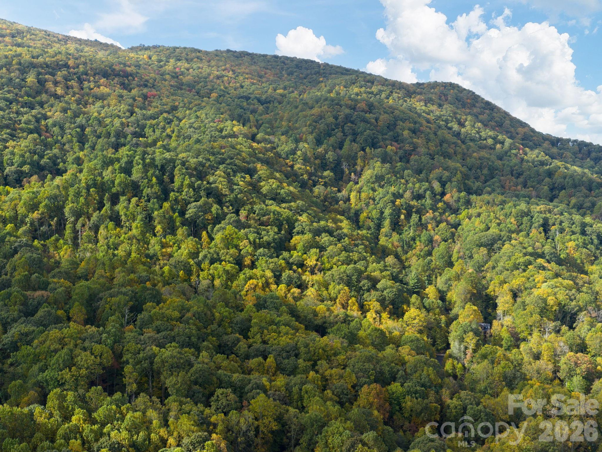 102 Carriage Drive - Photo 31