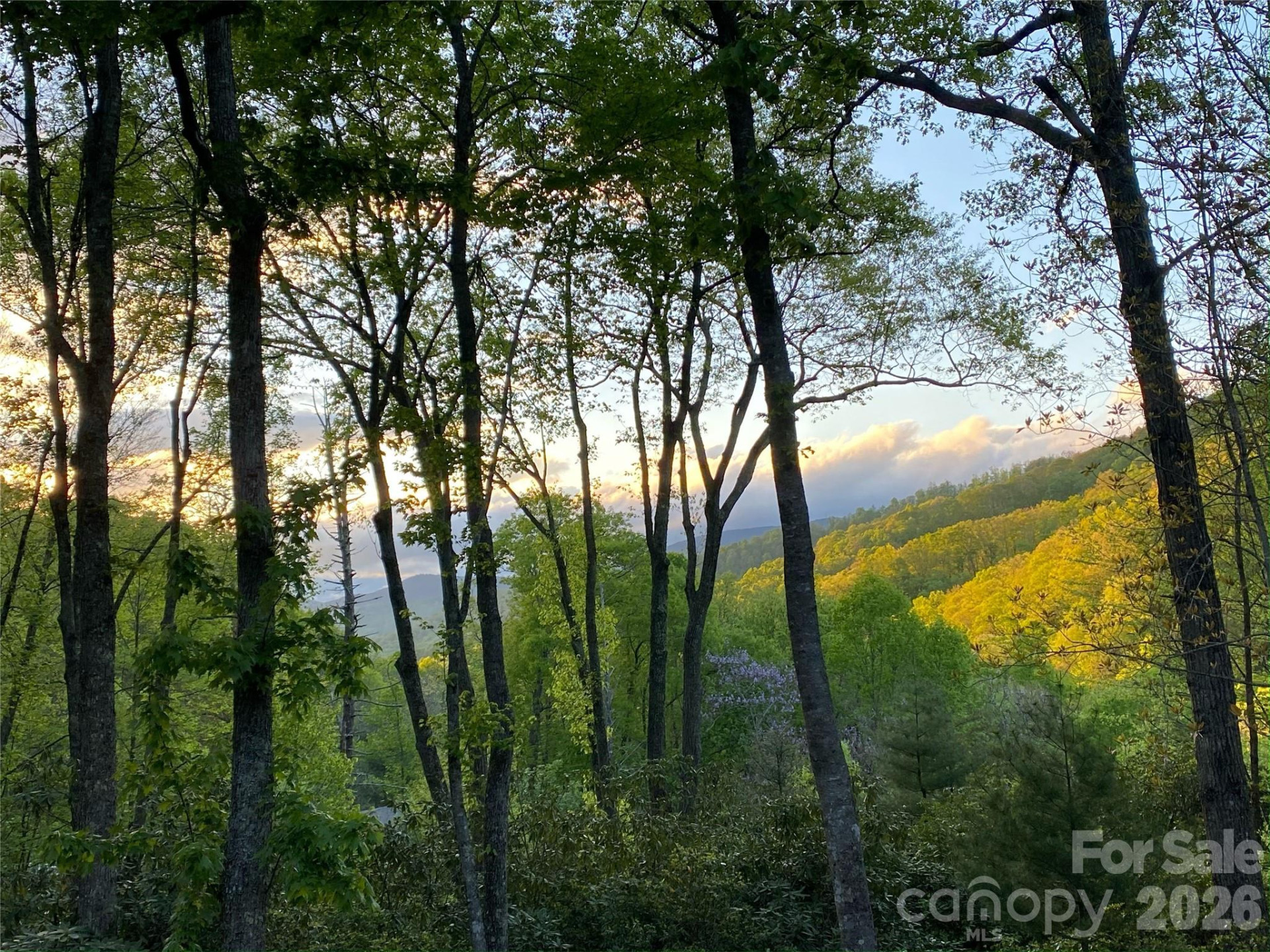 102 Carriage Drive - Photo 32