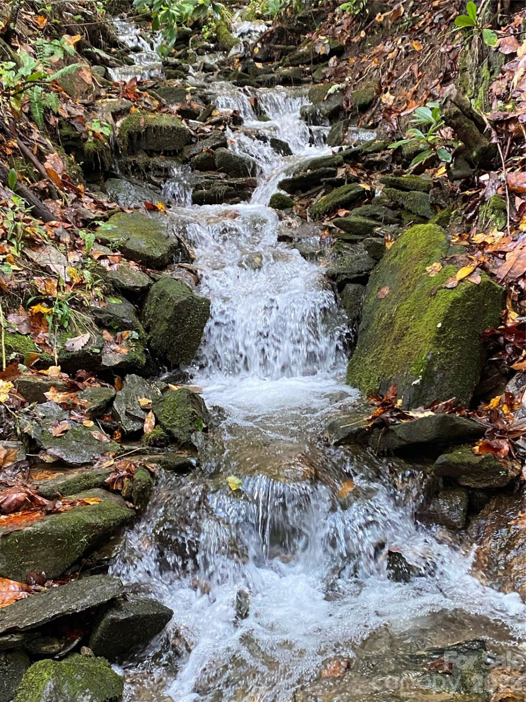 102 Carriage Drive - Photo 33