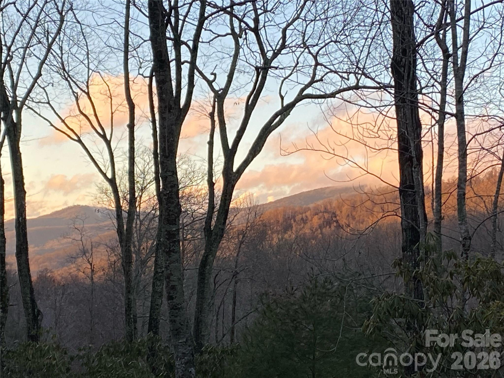 102 Carriage Drive - Photo 34