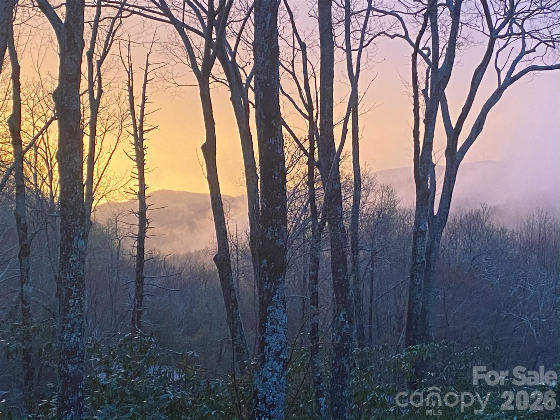 102 Carriage Drive - Photo 35