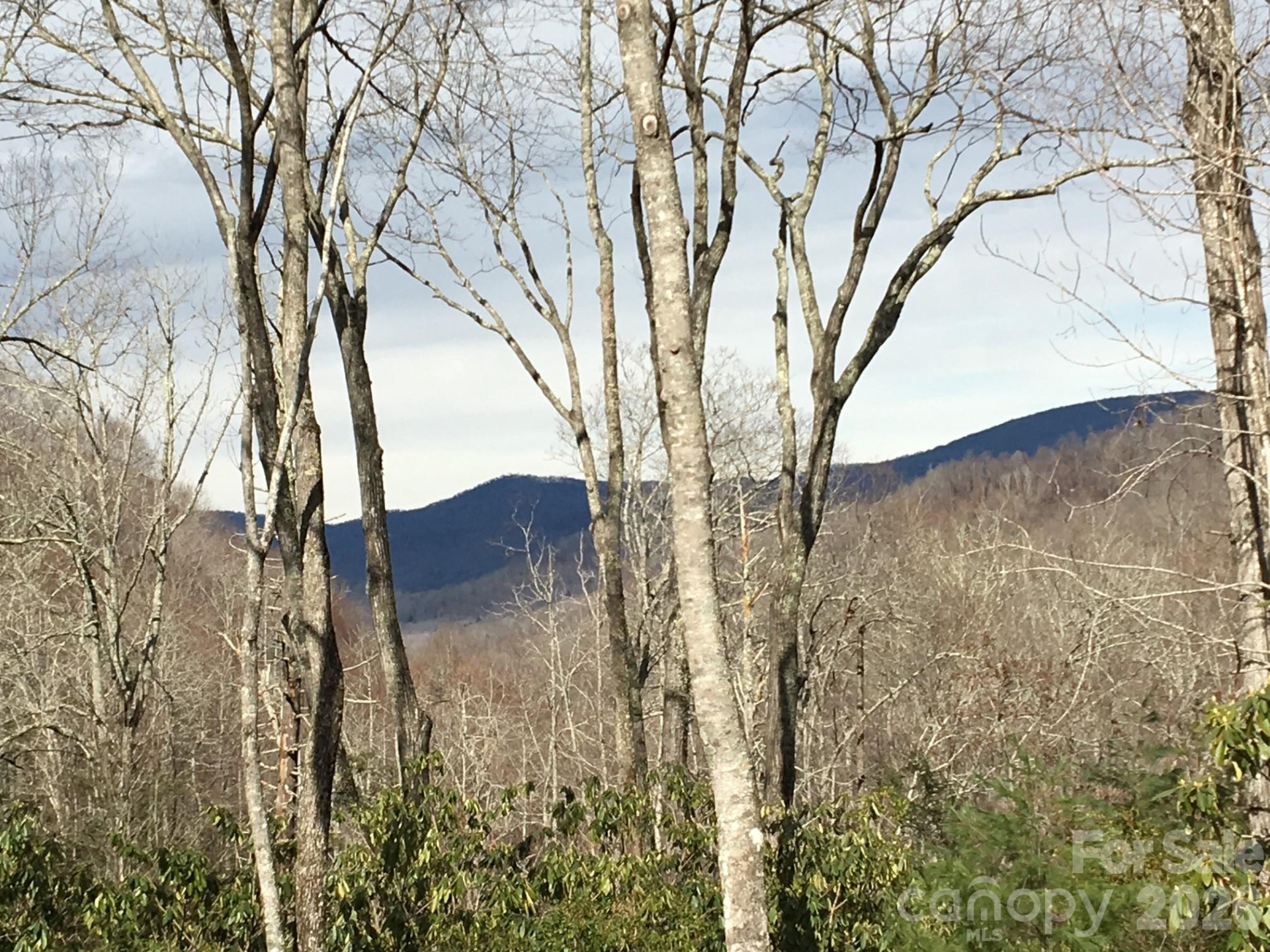 102 Carriage Drive - Photo 36