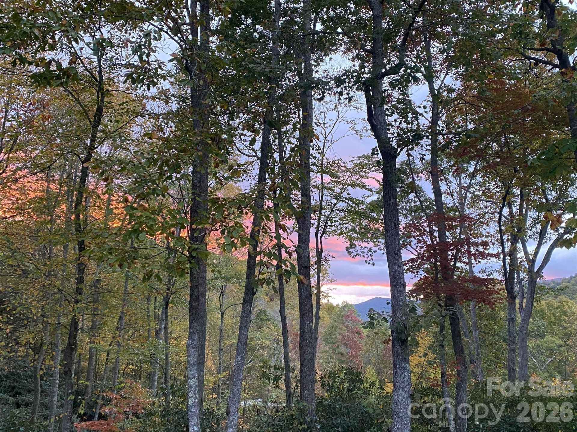 102 Carriage Drive - Photo 5